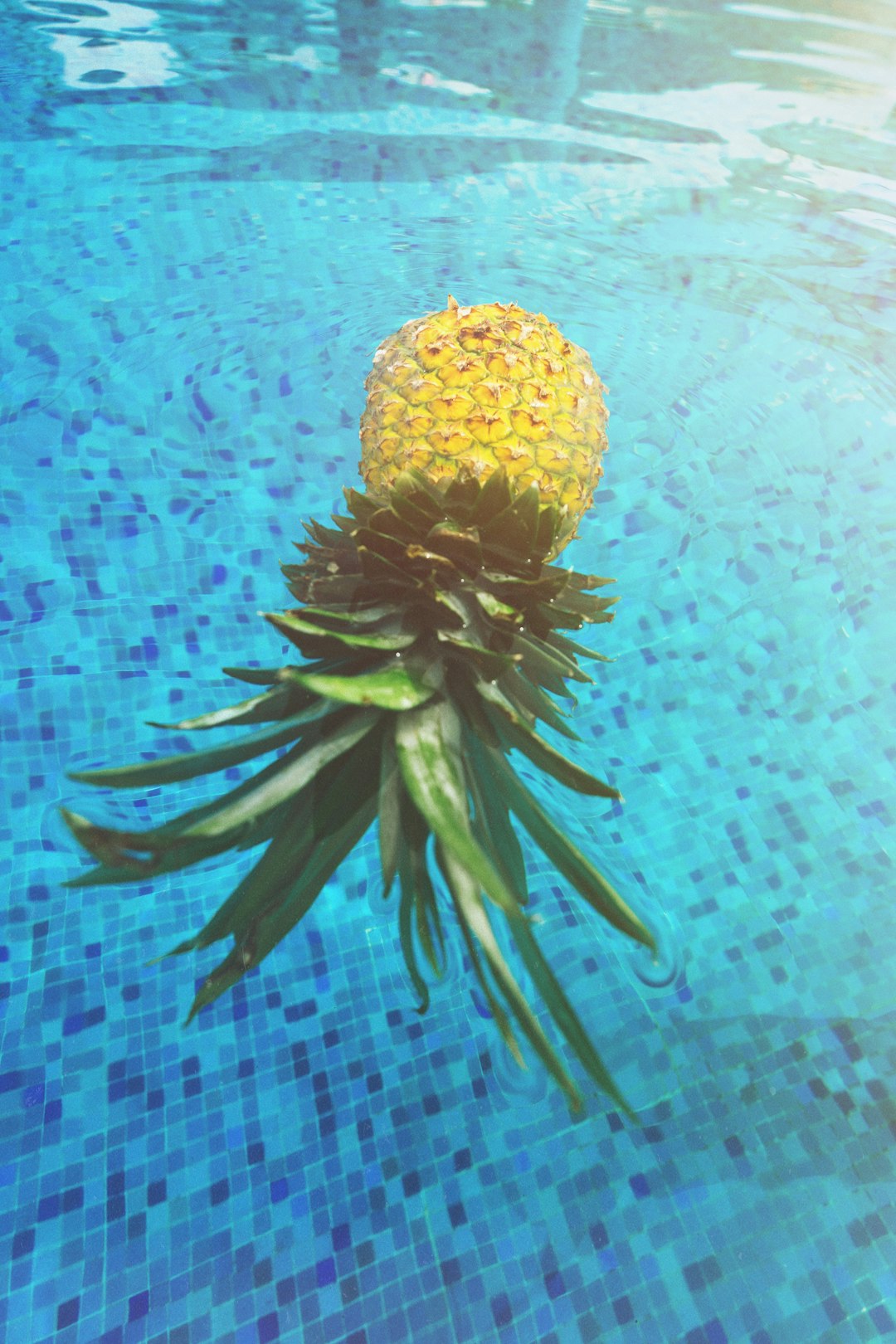 pineapple on pool