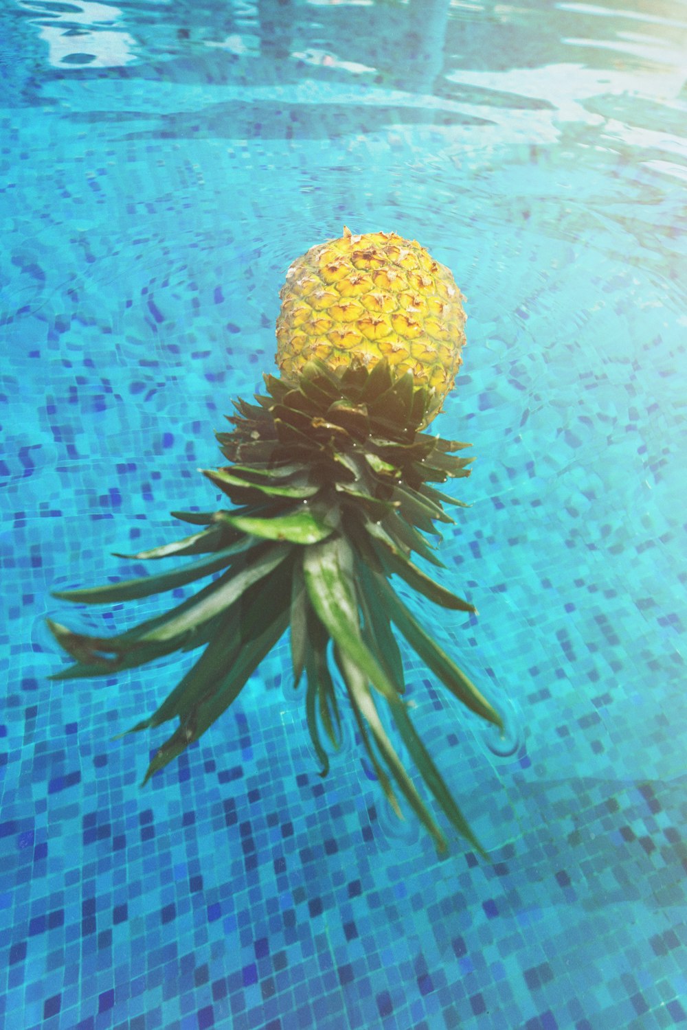 Ananas in piscina