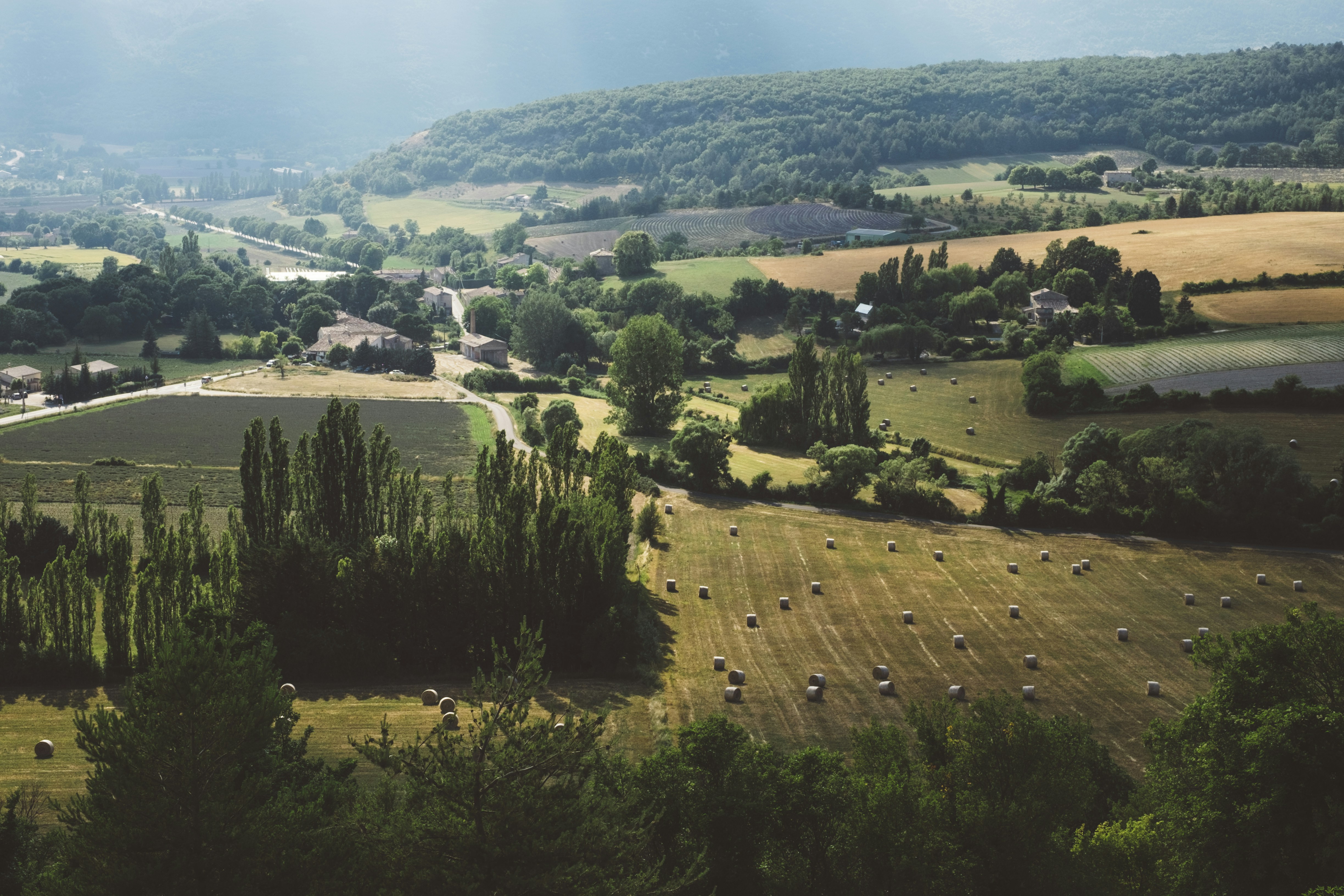 Serene countryside