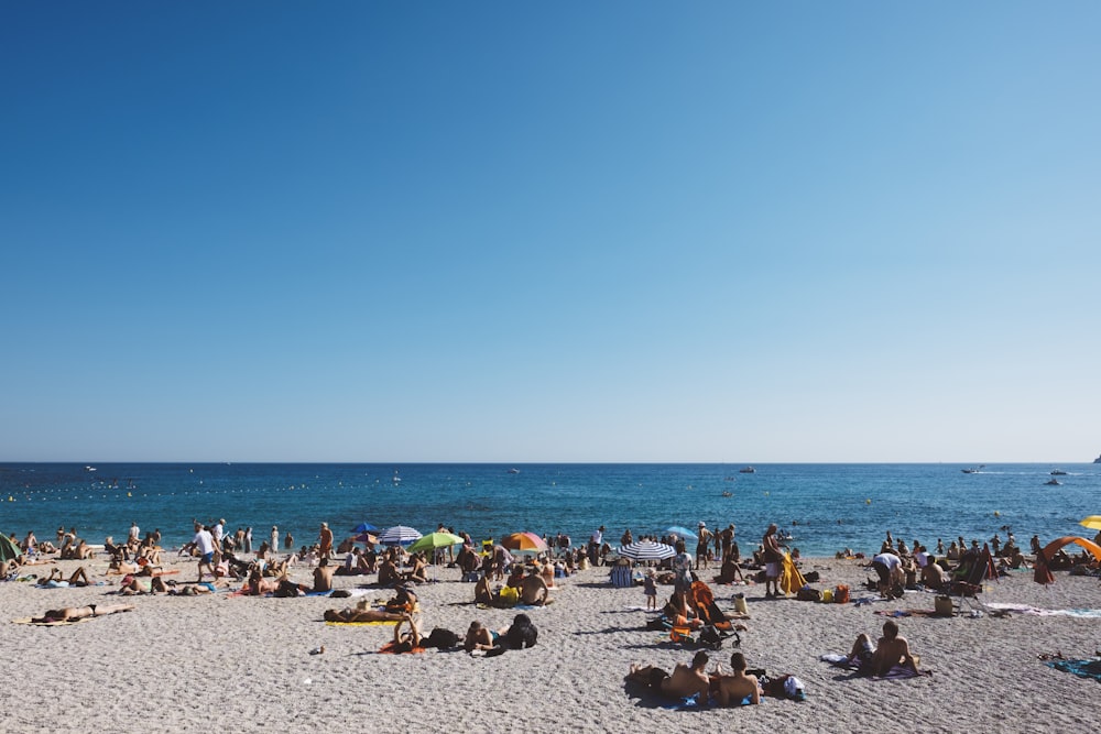 grupo de pessoas apreciando a praia de areia cinza com águas calmas durante o dia