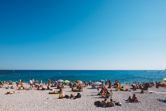 group of people enjoying the gray sanded beach with calm water during daytime in Cassis France