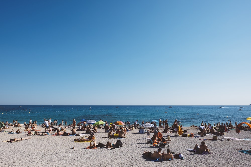 gruppo di persone che si godono la spiaggia di sabbia grigia con acqua calma durante il giorno