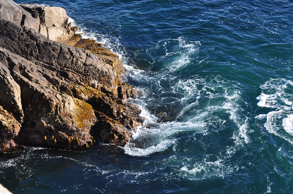 aerial view of sea