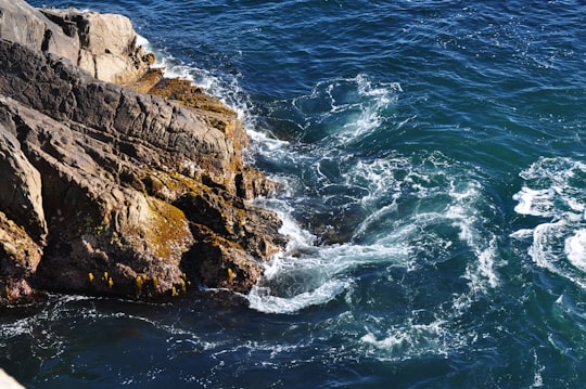 aerial view of sea in Carmel Beach United States