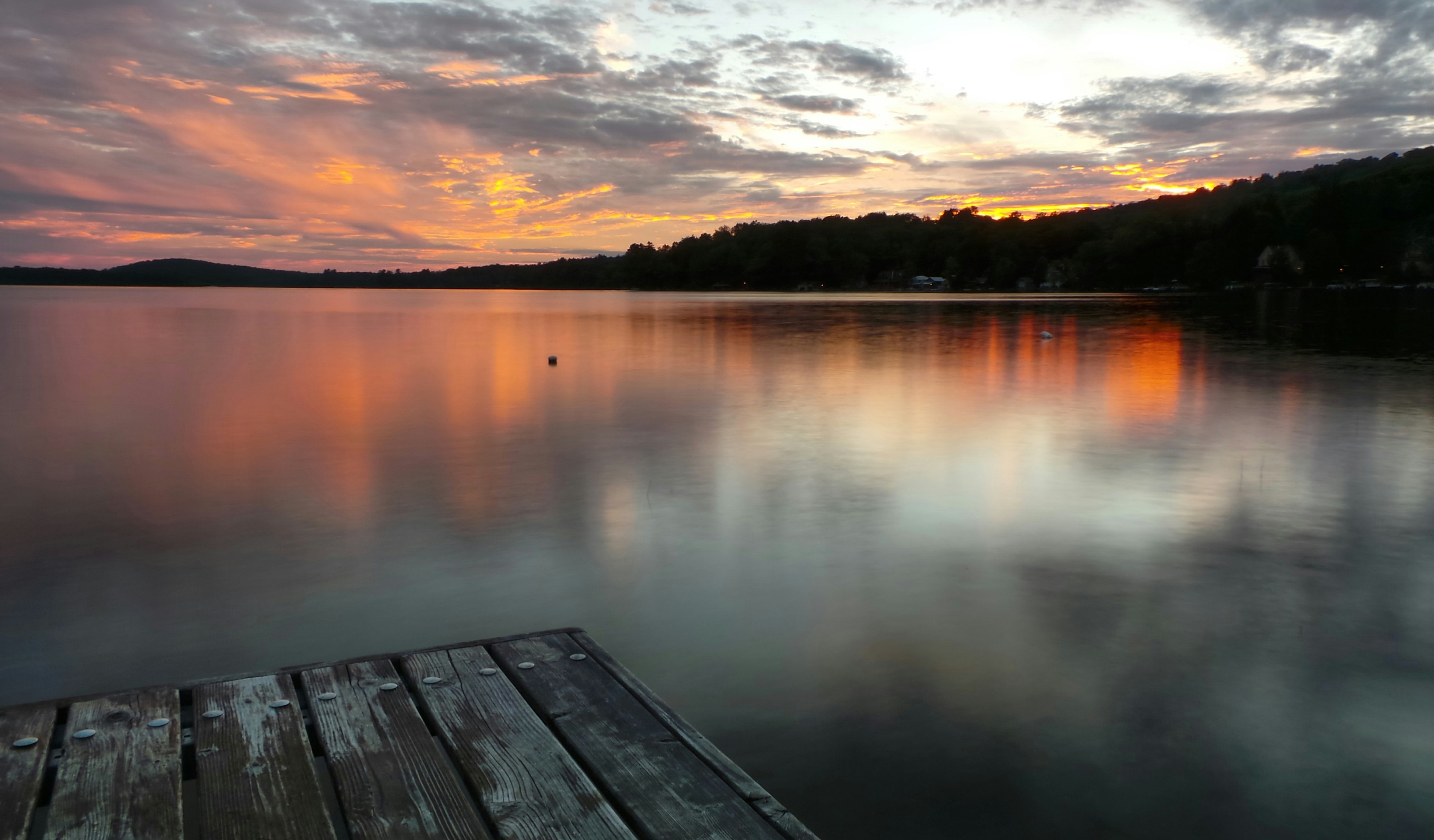 wooden dock near tree during golden hour