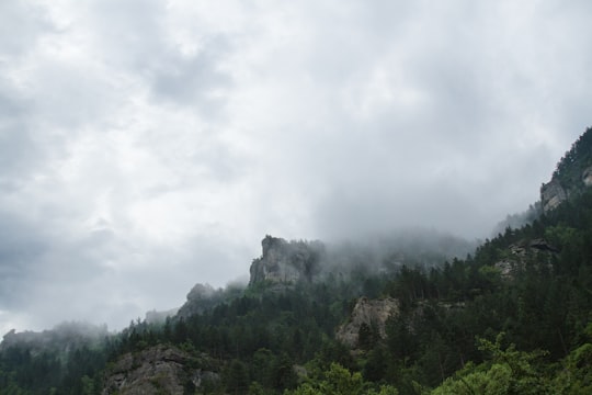 grass-covered foggy mountain in Sainte-Enimie France