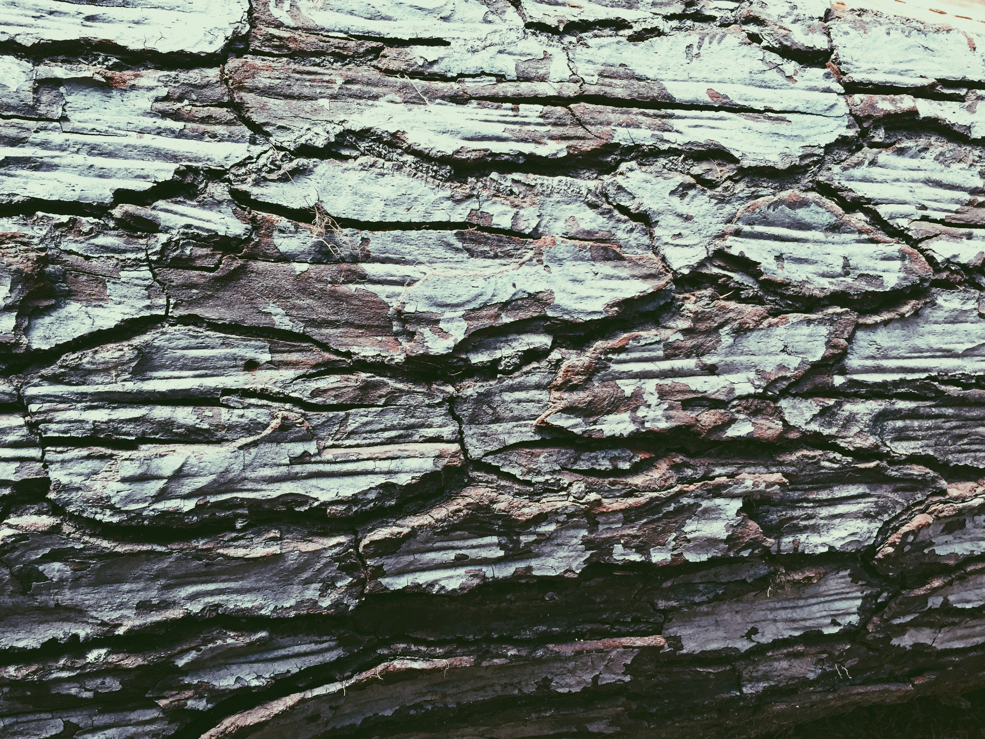 Free Unsplash photo from Luke Jackson