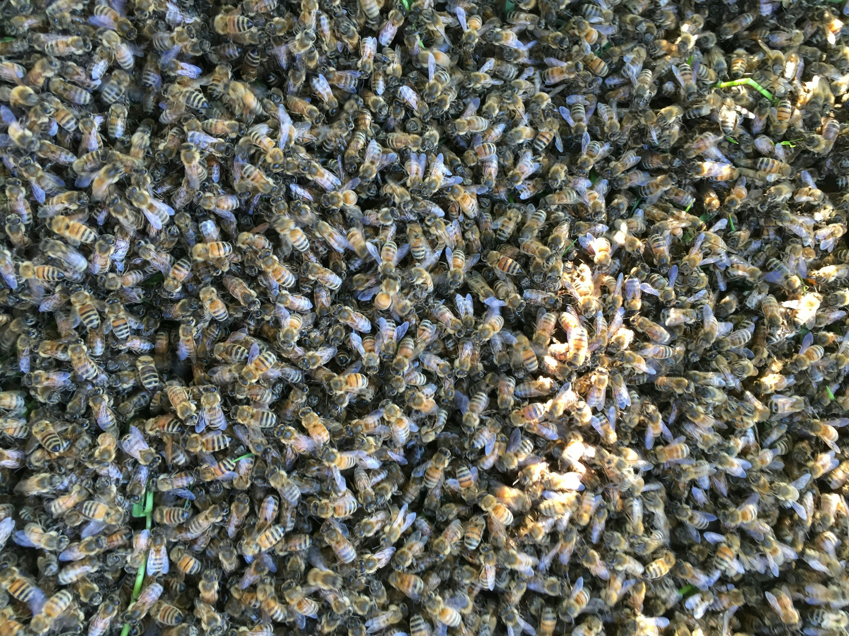 Free Unsplash photo from Peter Preiss