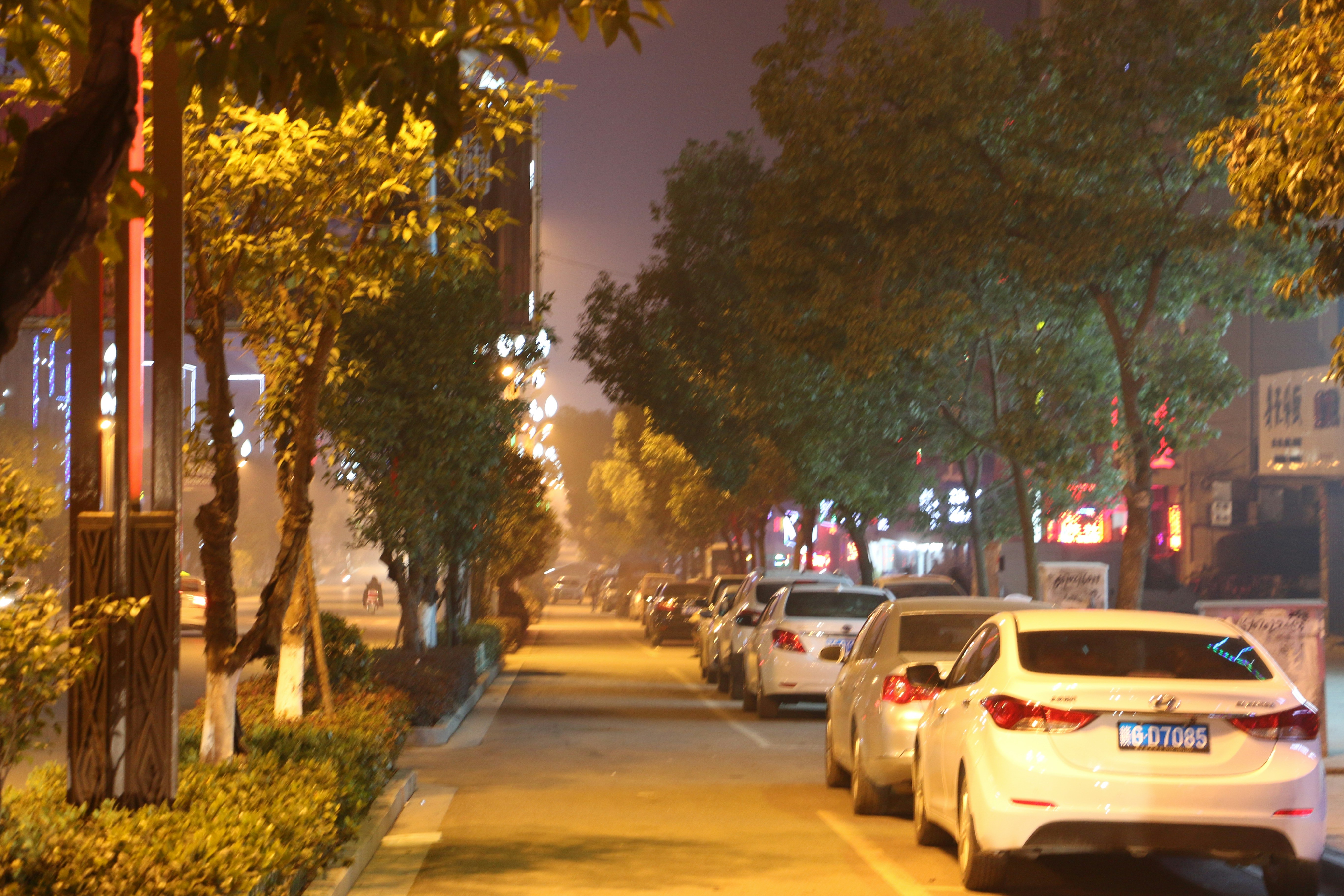 Free Unsplash photo from Michael 胡