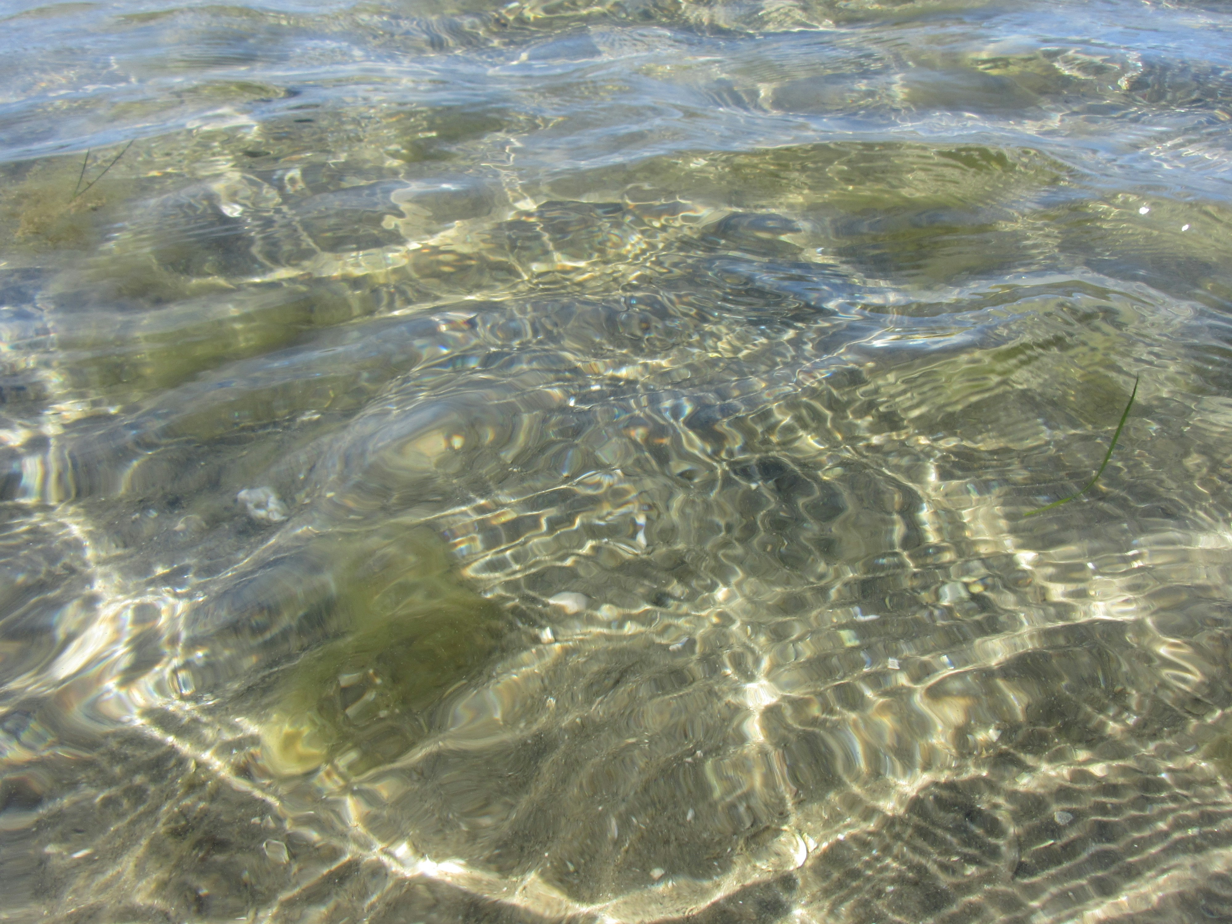 Free Unsplash photo from Ana Peres