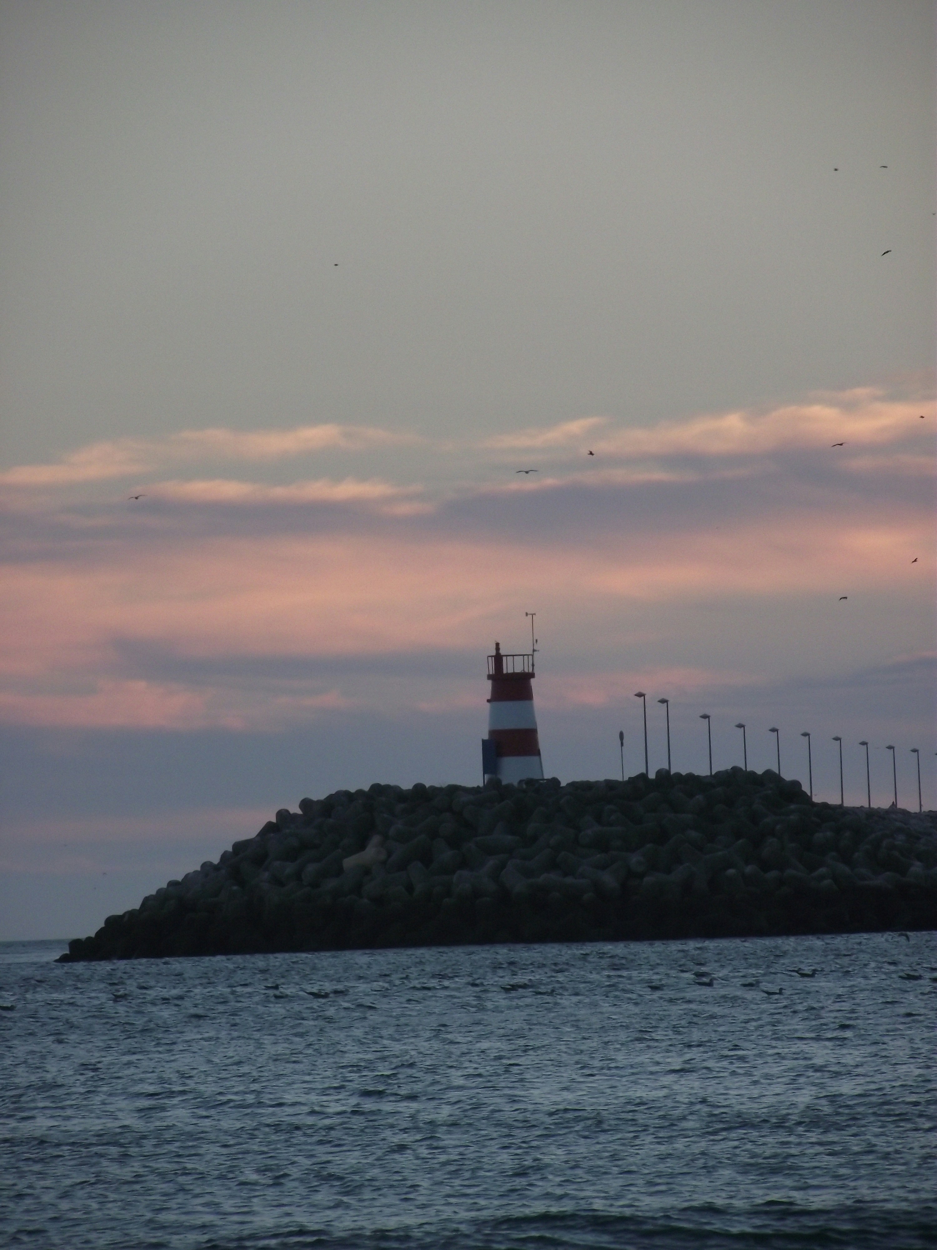 Free Unsplash photo from Ana Peres