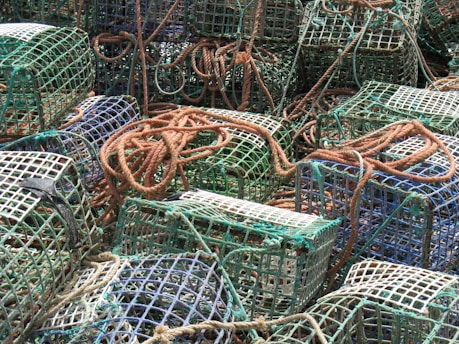 A large number of stacked fishing traps made of wire, with grids and ropes intertwined. The traps are primarily green and blue with some weathered and worn brown ropes laid over them in a disorganized manner.