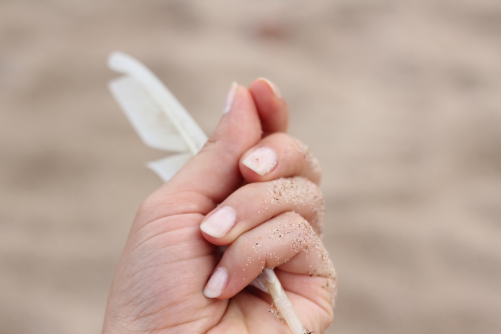 person holding white feather