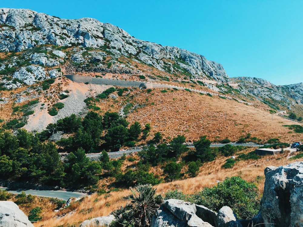 mountain with stone covered