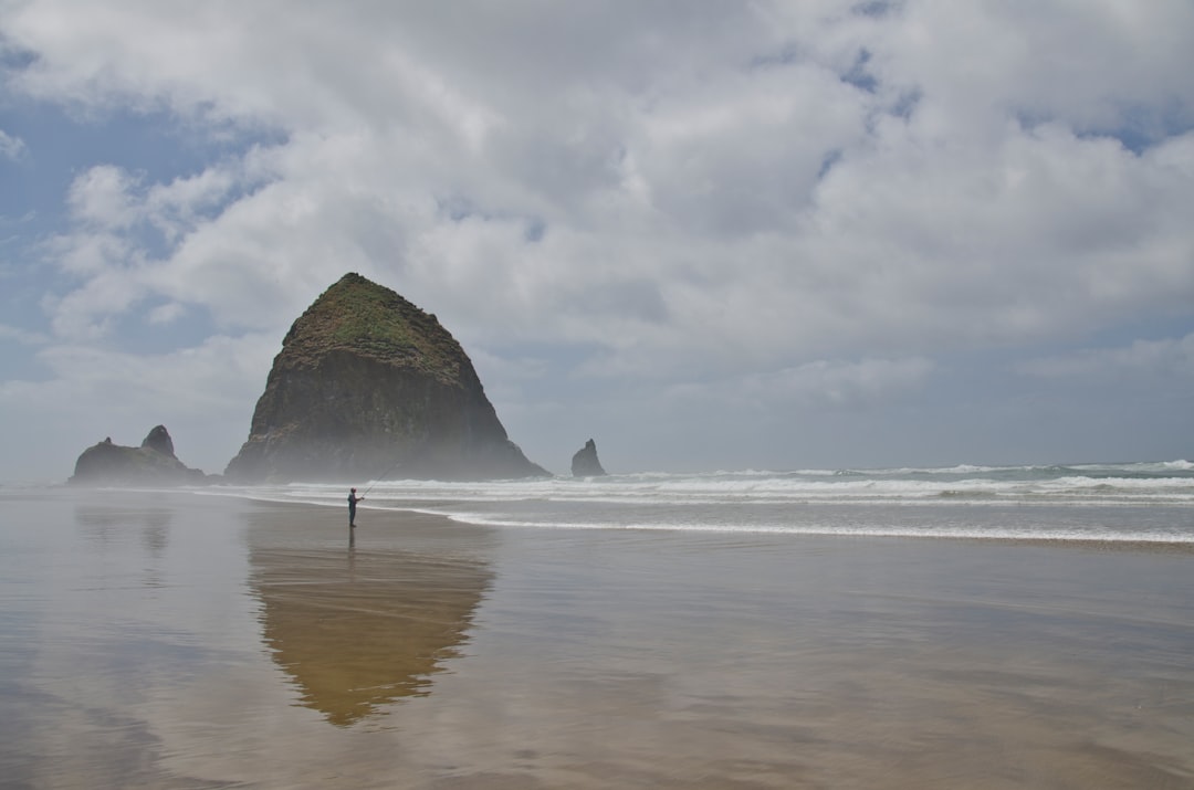 person standing on seashore with hill