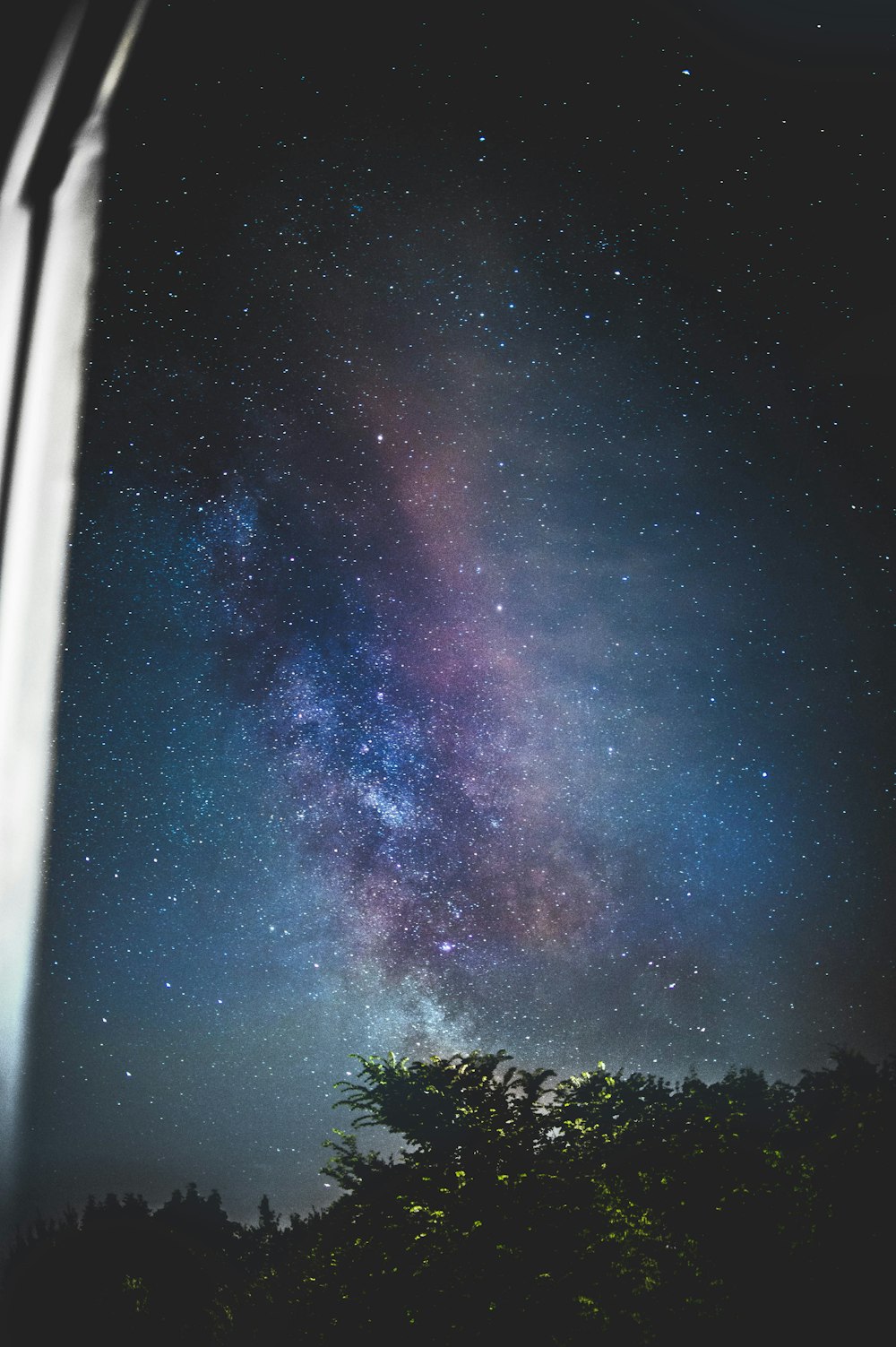 green trees under blue sky during night time