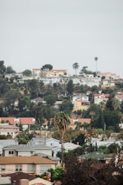 A residential hillside community with a variety of houses surrounded by lush greenery and tall palm trees under an overcast sky.