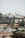 A residential hillside community with a variety of houses surrounded by lush greenery and tall palm trees under an overcast sky.