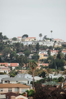 A residential hillside community with a variety of houses surrounded by lush greenery and tall palm trees under an overcast sky.