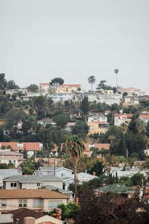 A residential hillside community with a variety of houses surrounded by lush greenery and tall palm trees under an overcast sky.