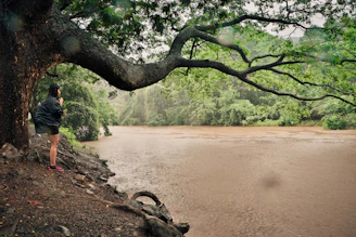 A professional environmental auditor conducting a field inspection near a river.