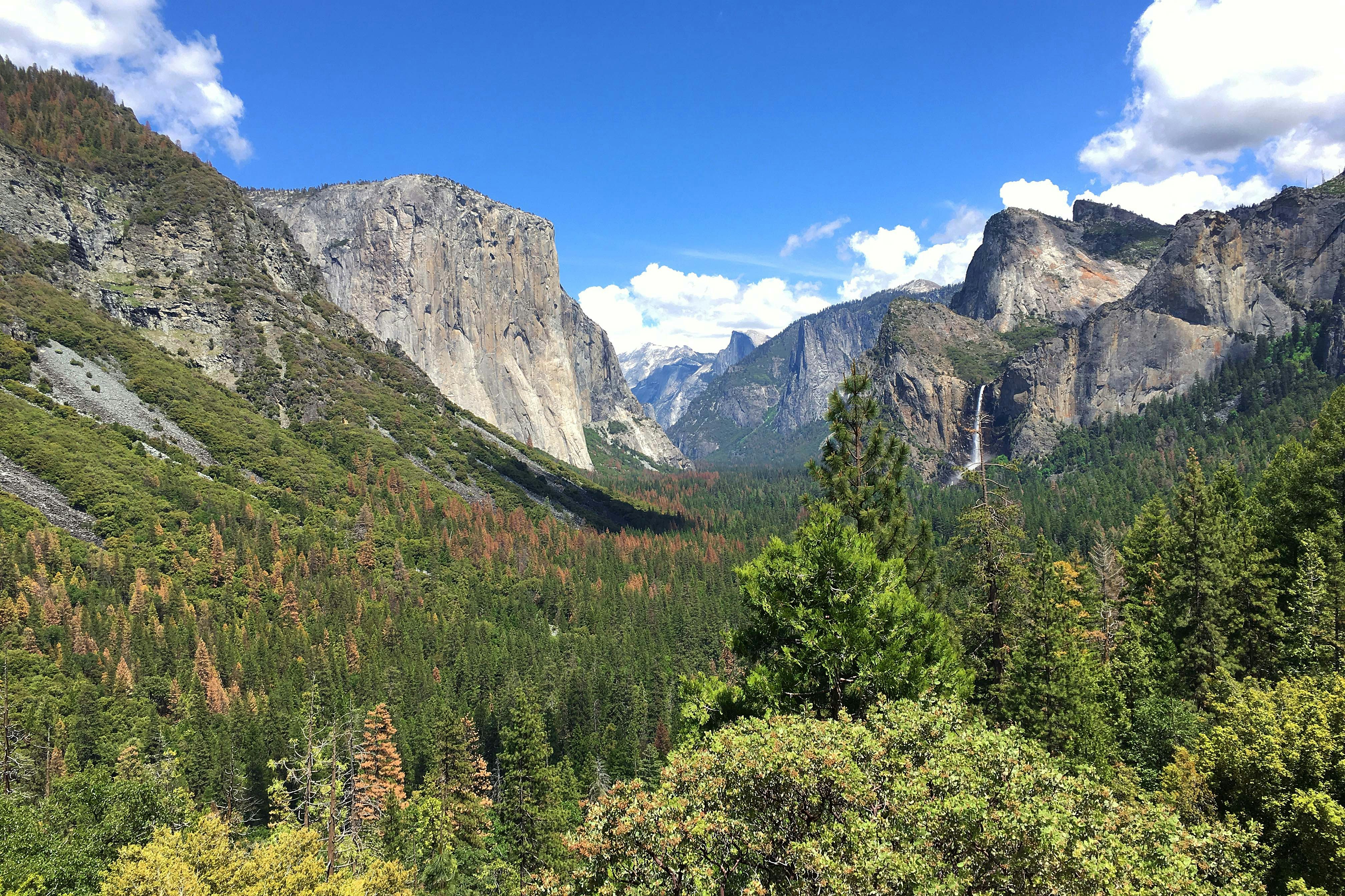 Free Unsplash photo from Shermin Tan