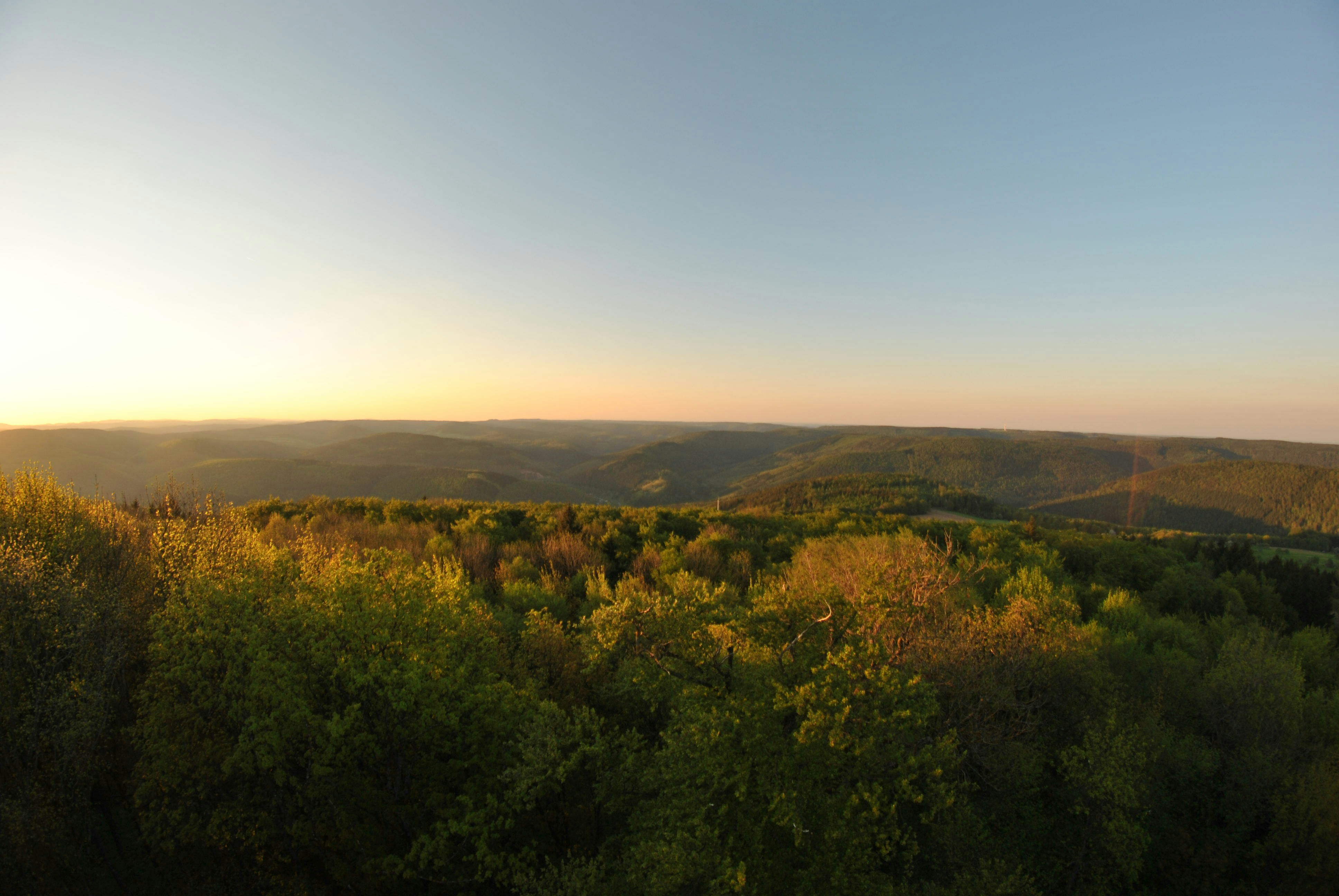 Free Unsplash photo from AnneKath D