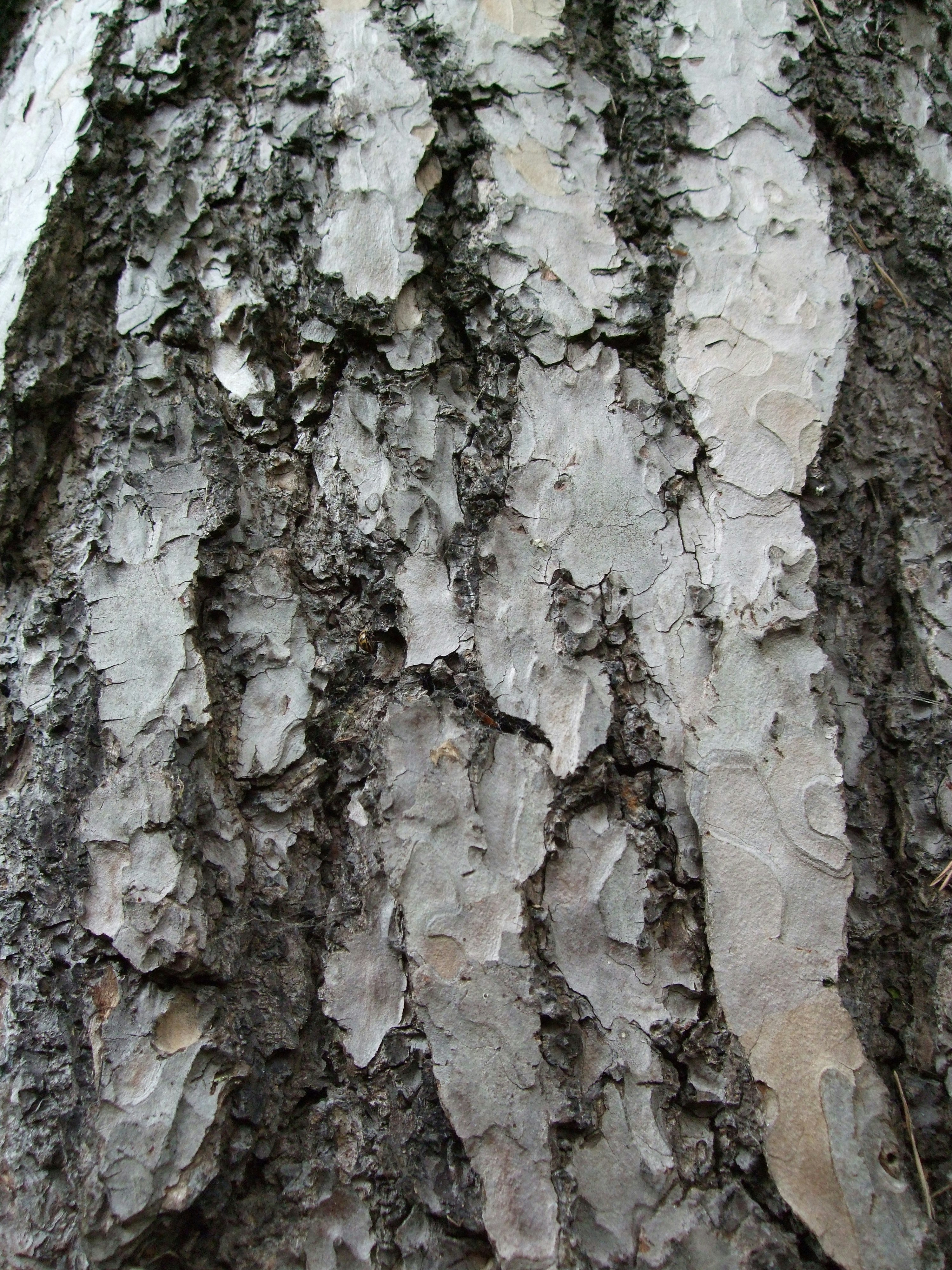 Free Unsplash photo from Philippa Briscoe