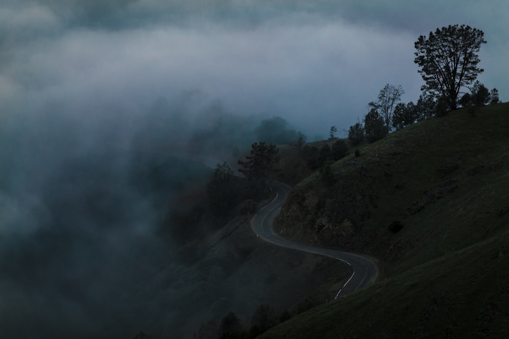 霧に覆われた木々が生い茂る丘の上のコンクリート道路