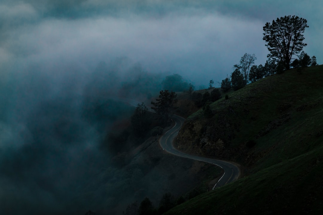 concrete road on hill with trees covered in fogs