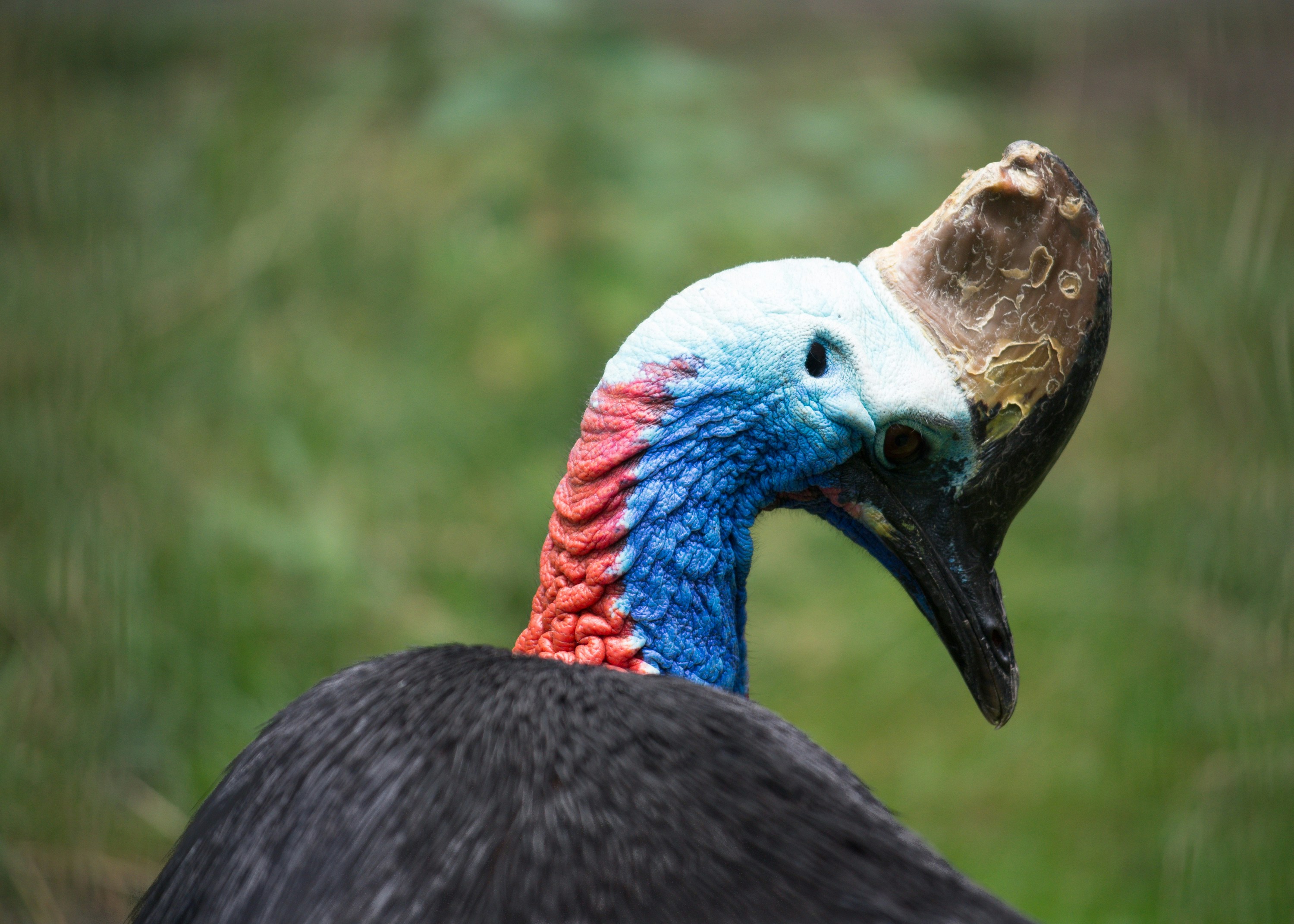 Free Unsplash photo from Michael Murphy