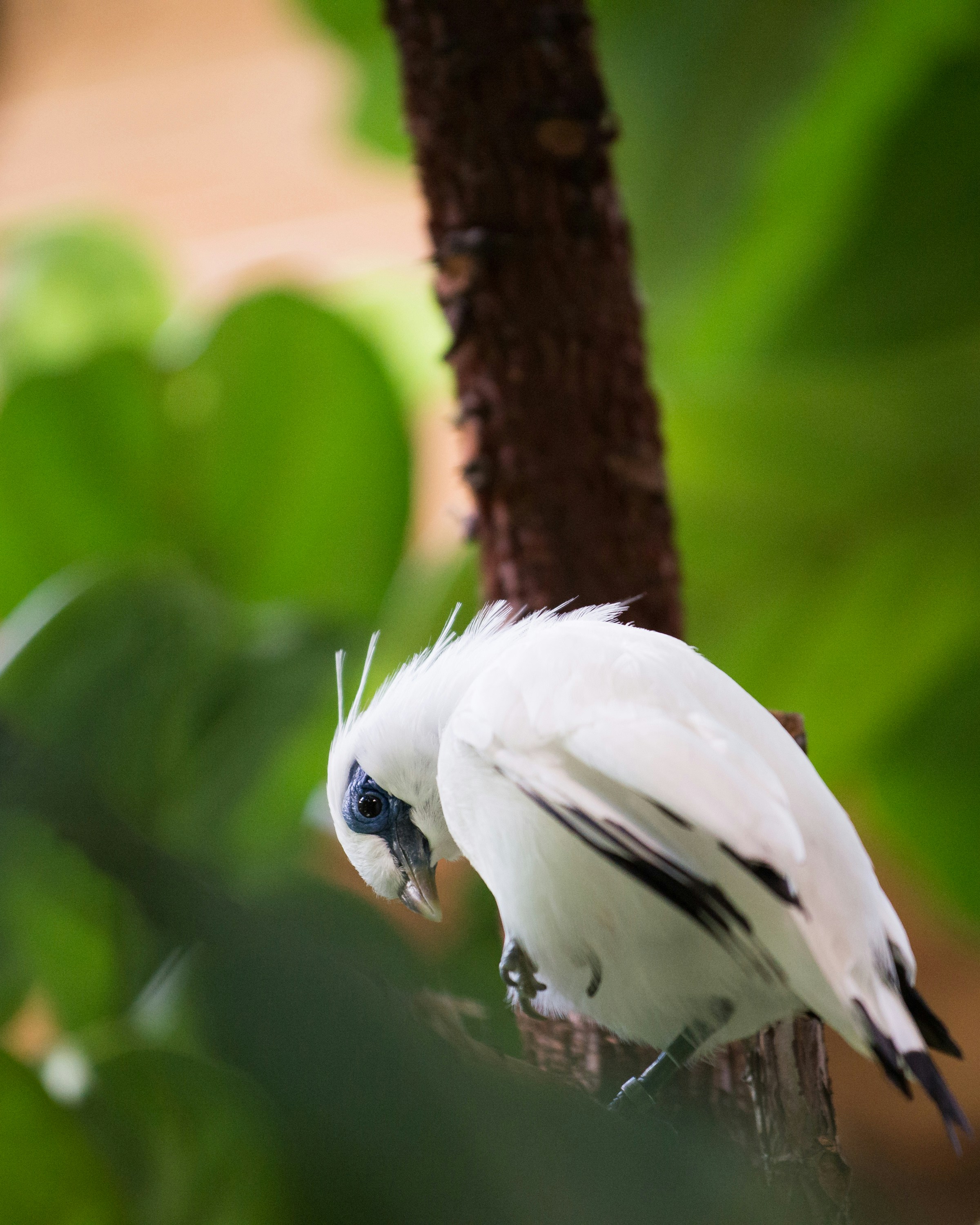 Free Unsplash photo from Michael Murphy