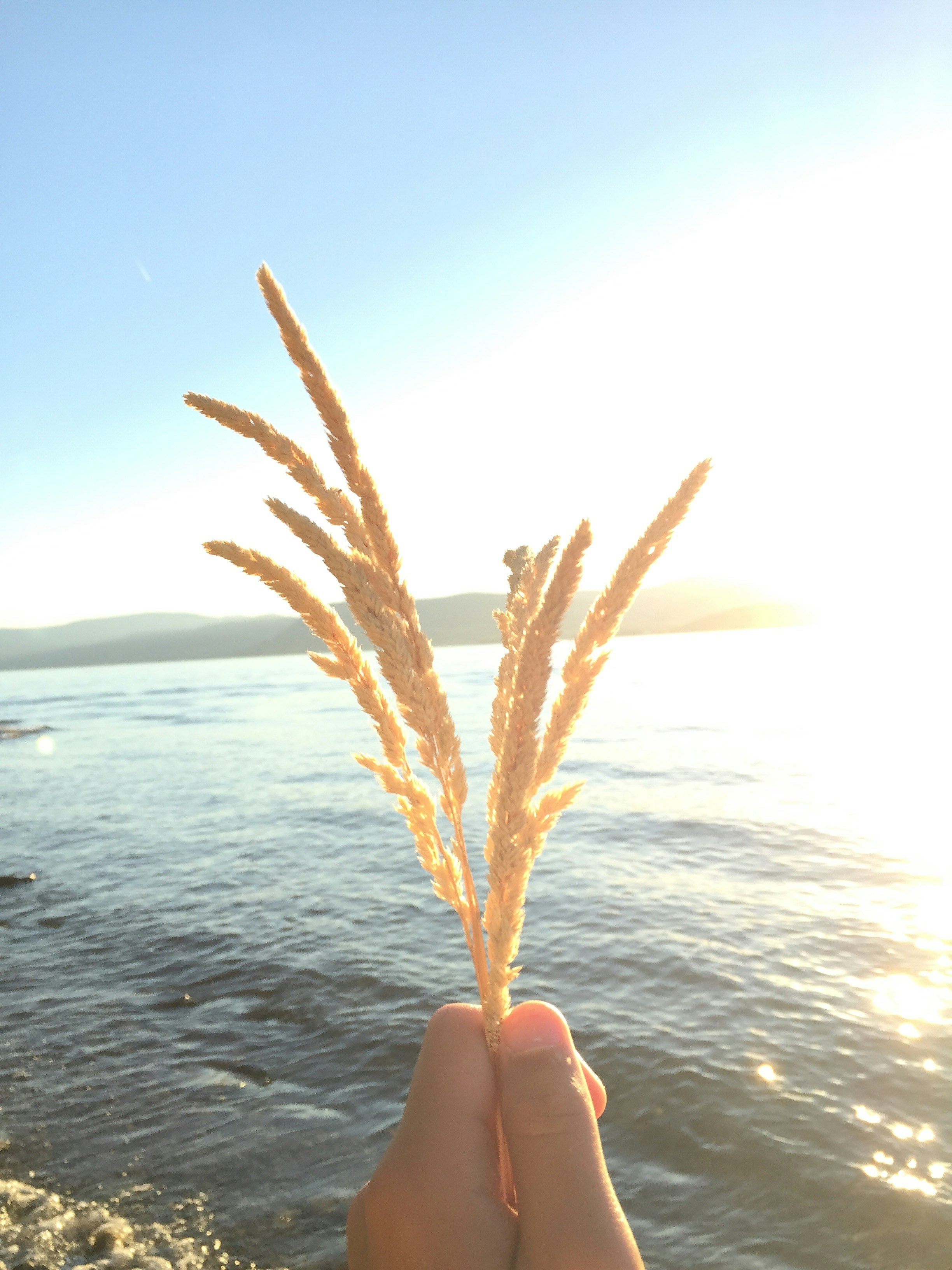 Free Unsplash photo from Jace Roy