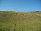 A wide open plot of land ready for development with rolling hills in the background.