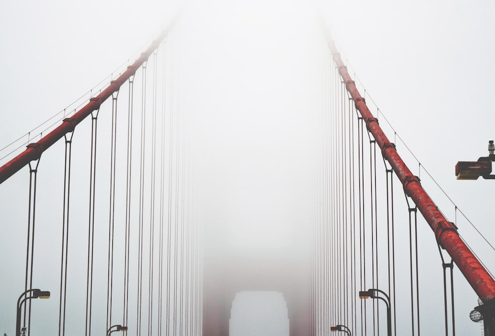 fog-covered golden gate