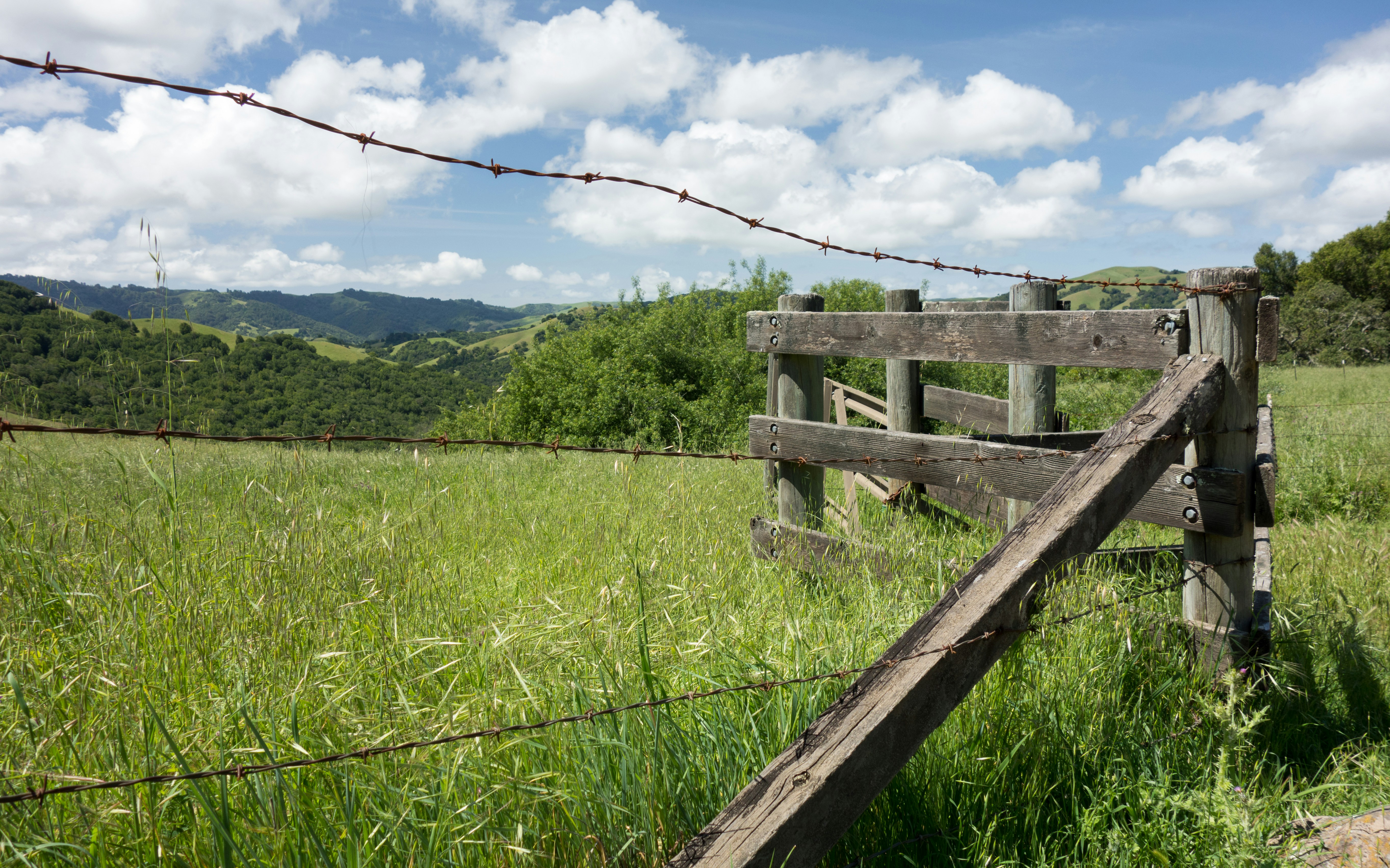 Free Unsplash photo from Matt McLean