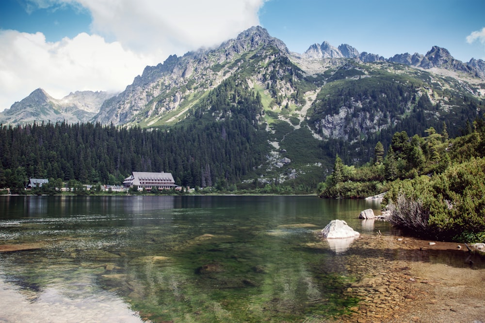 grüne, mit Bäumen bedeckte Berge