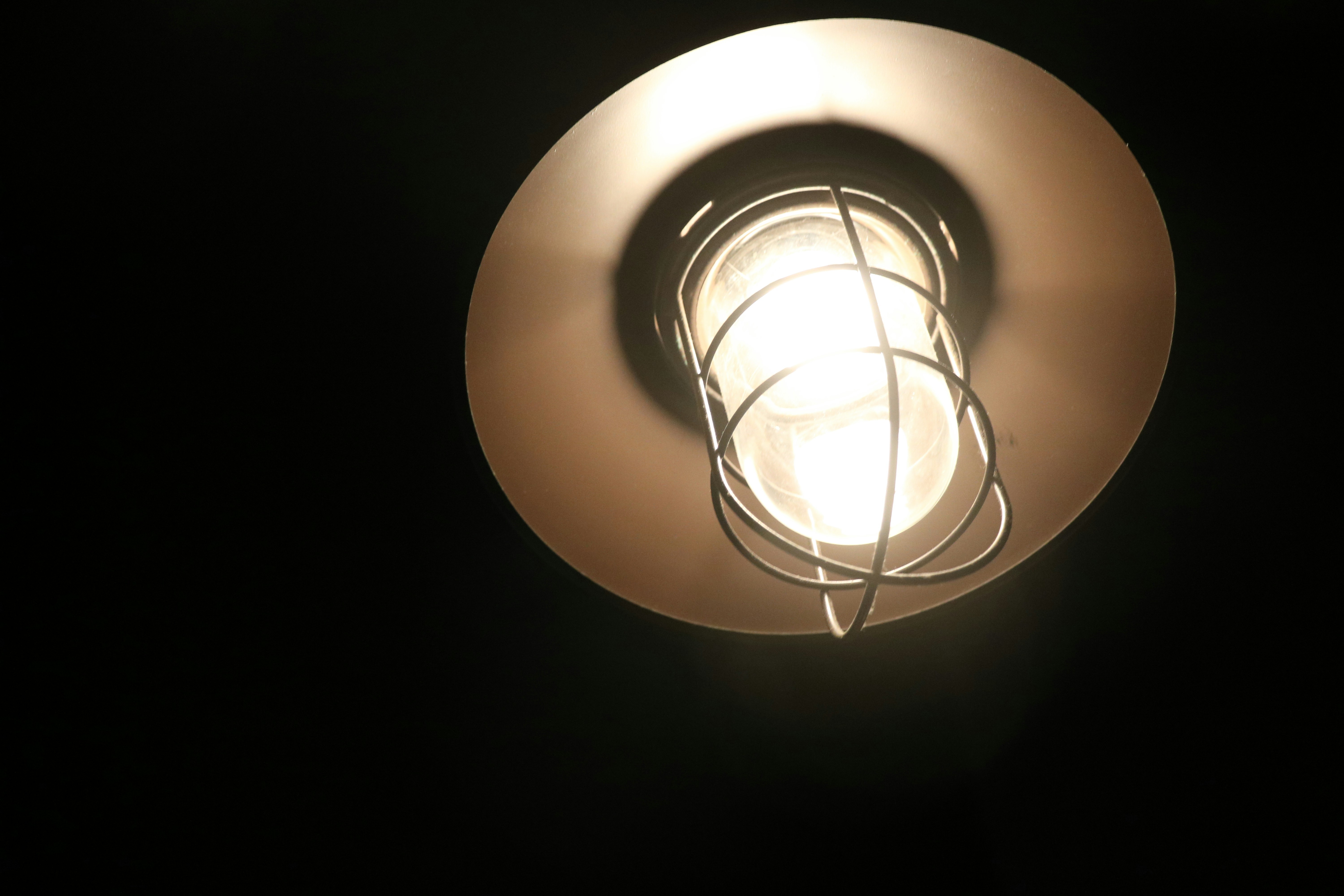 Free Unsplash photo from Jenny Li