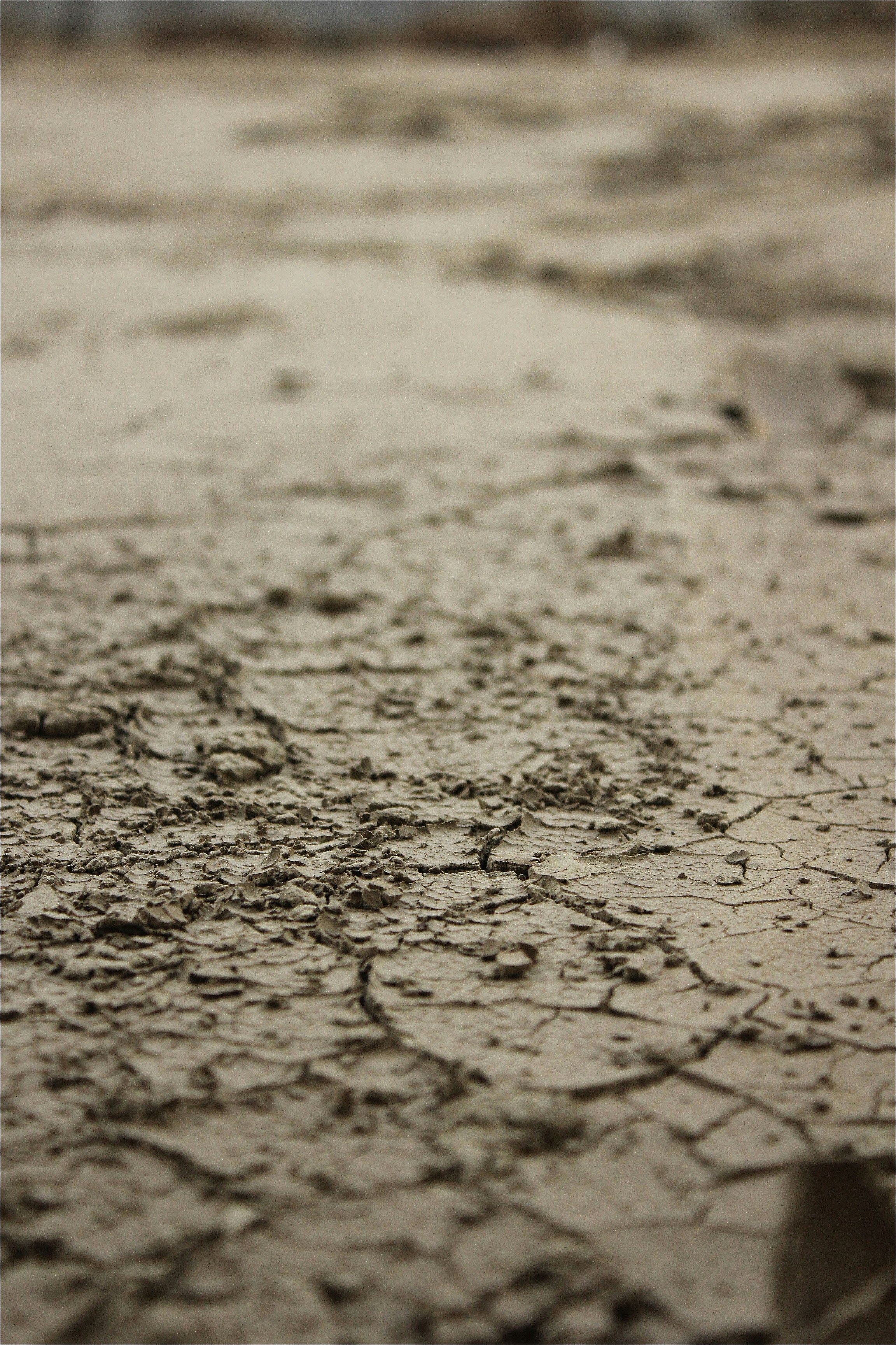 Free Unsplash photo from Pauline Tayag