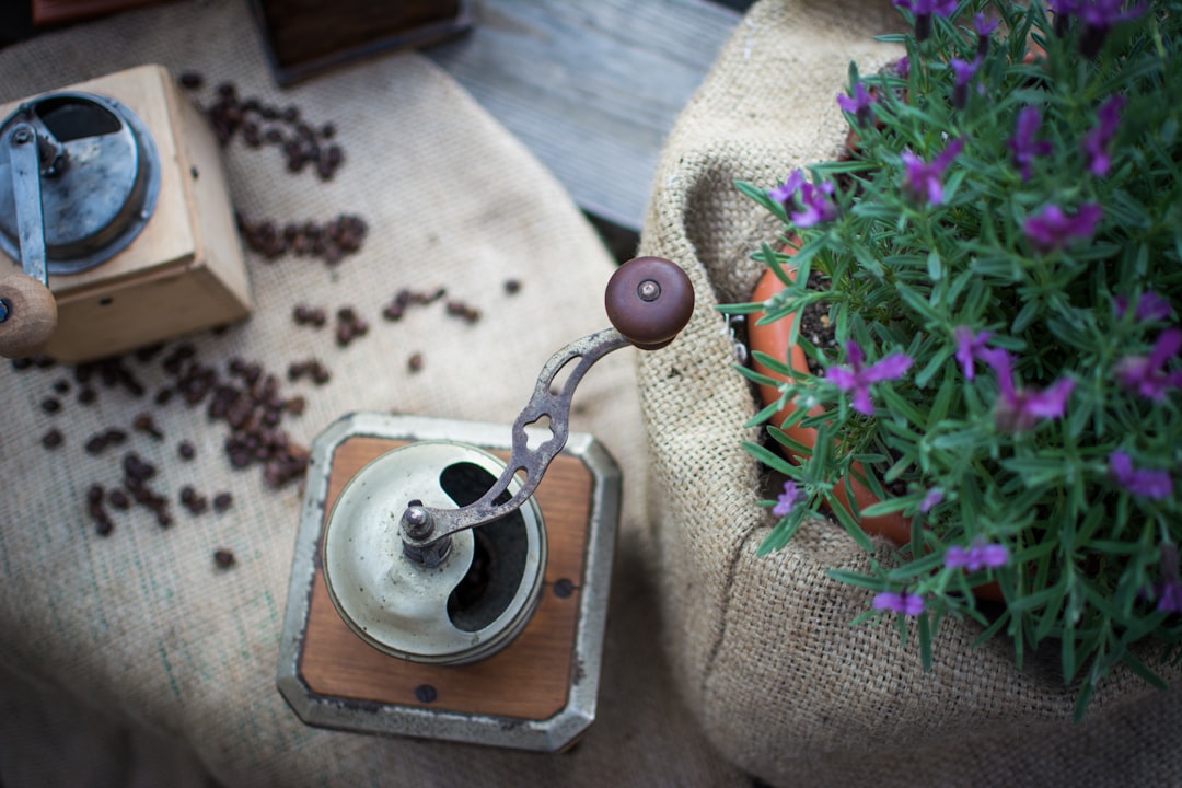 brown and grey coffee maker