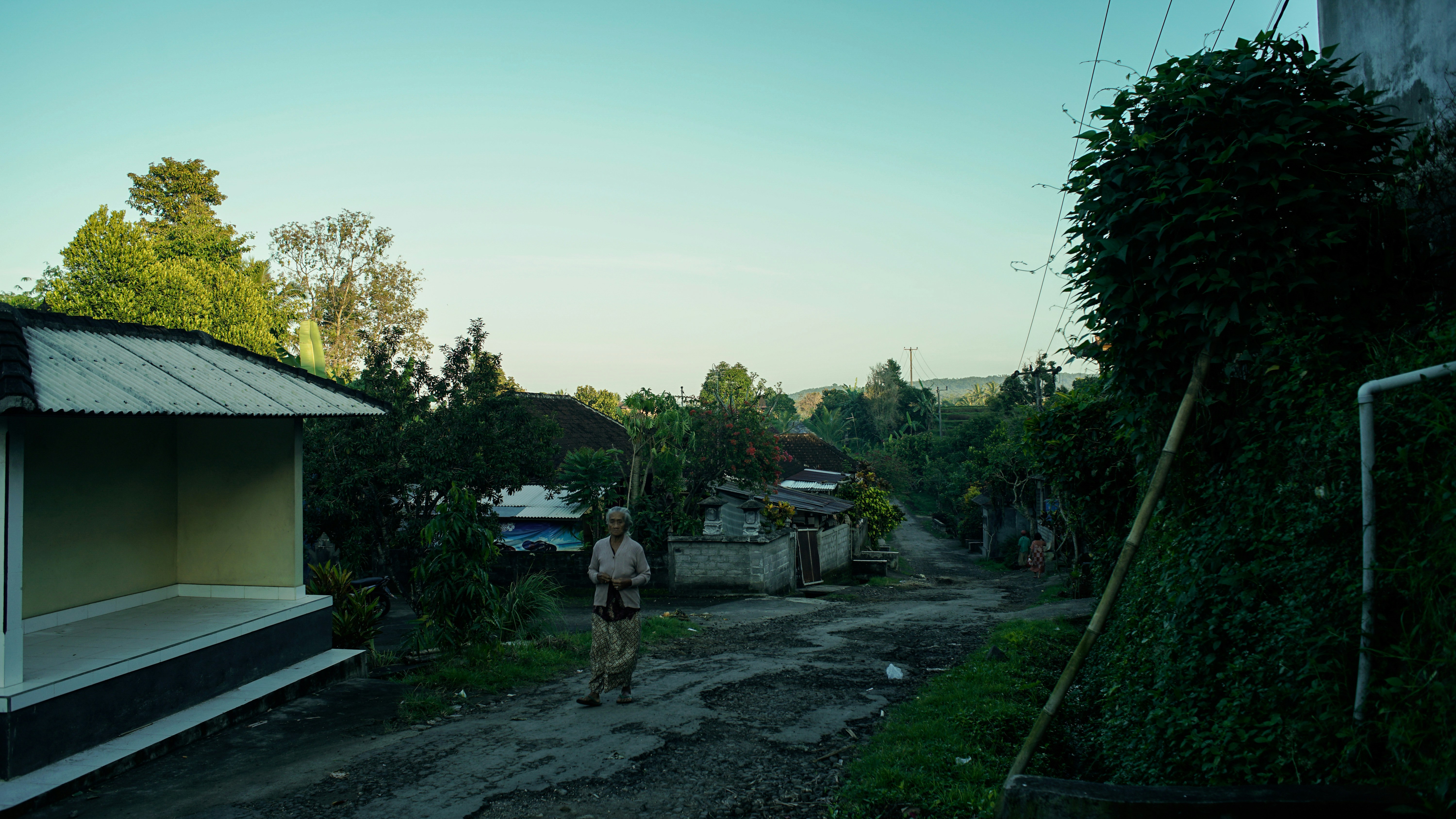 Free Unsplash photo from Alit Pramesta