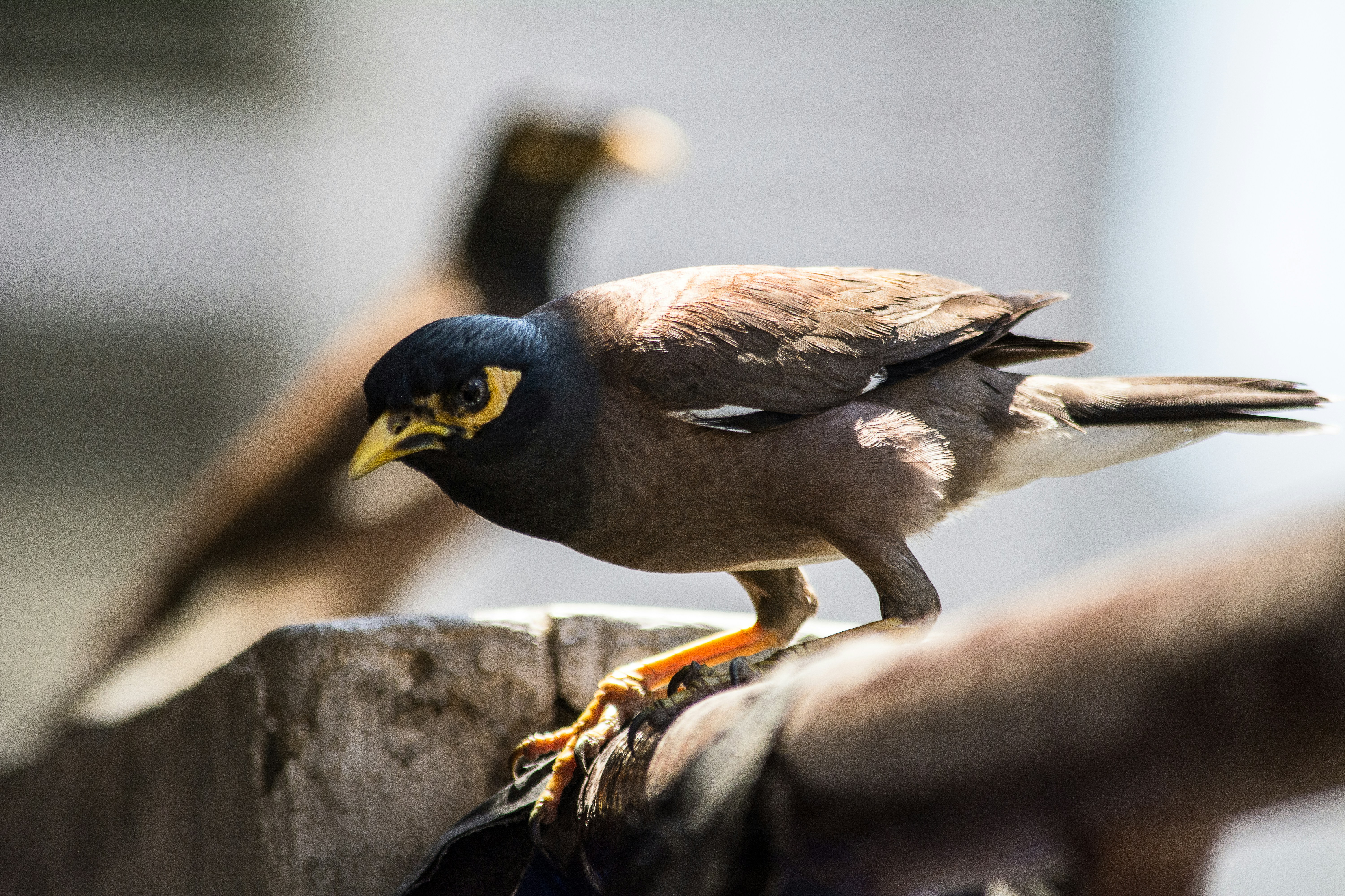 Free Unsplash photo from Josh Adamski