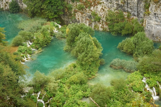 aerial photography of body of water and green trees in Plitvice Lakes National Park Croatia
