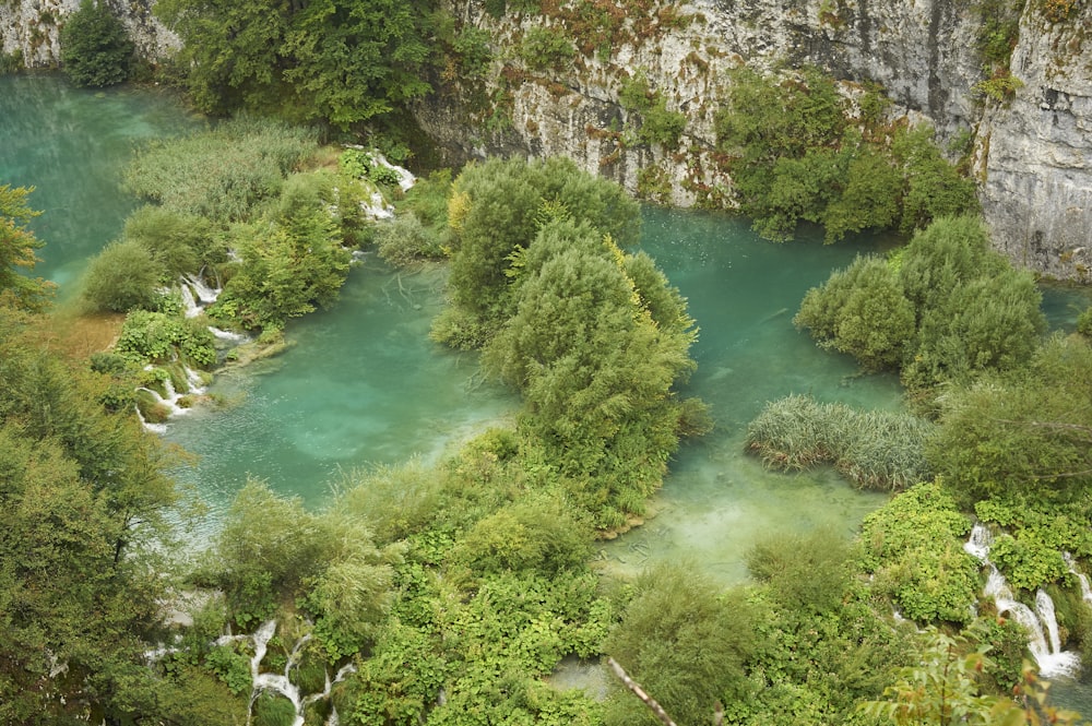 aerial photography of body of water and green trees