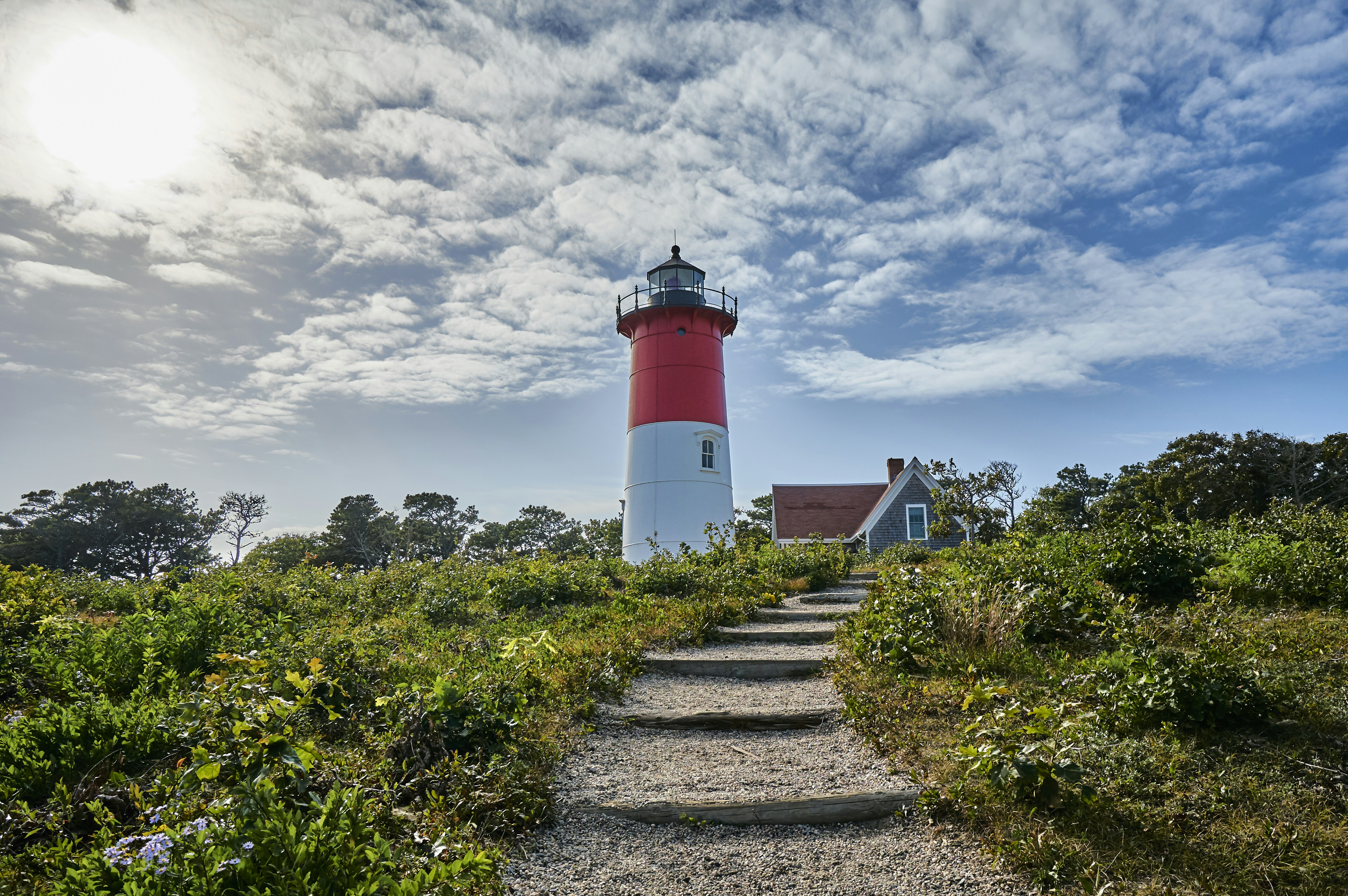 Free Unsplash photo from Dmitry Dreyer