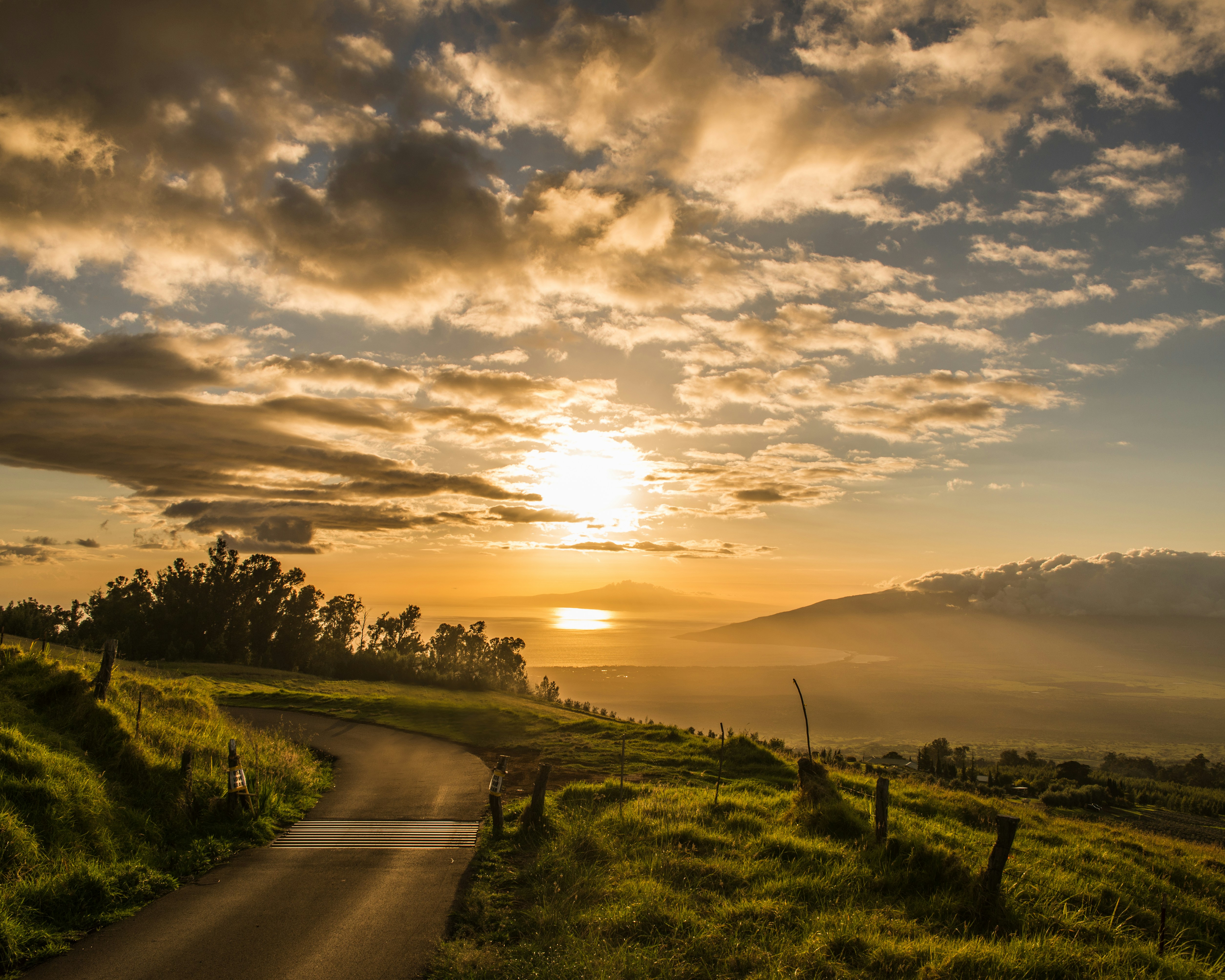 Free Unsplash photo from Bill Nichols