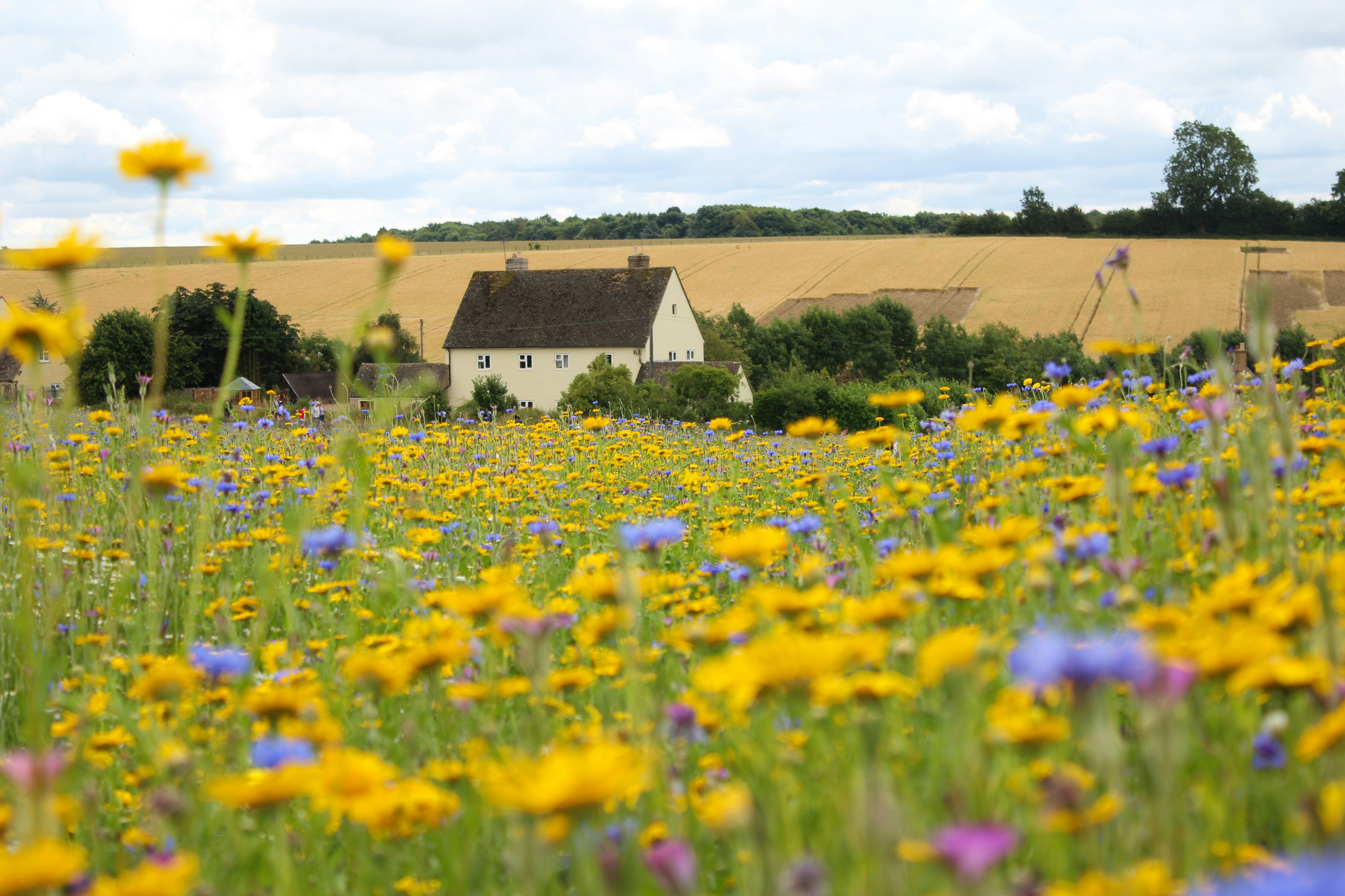 Free Unsplash photo from Roberto Amelio