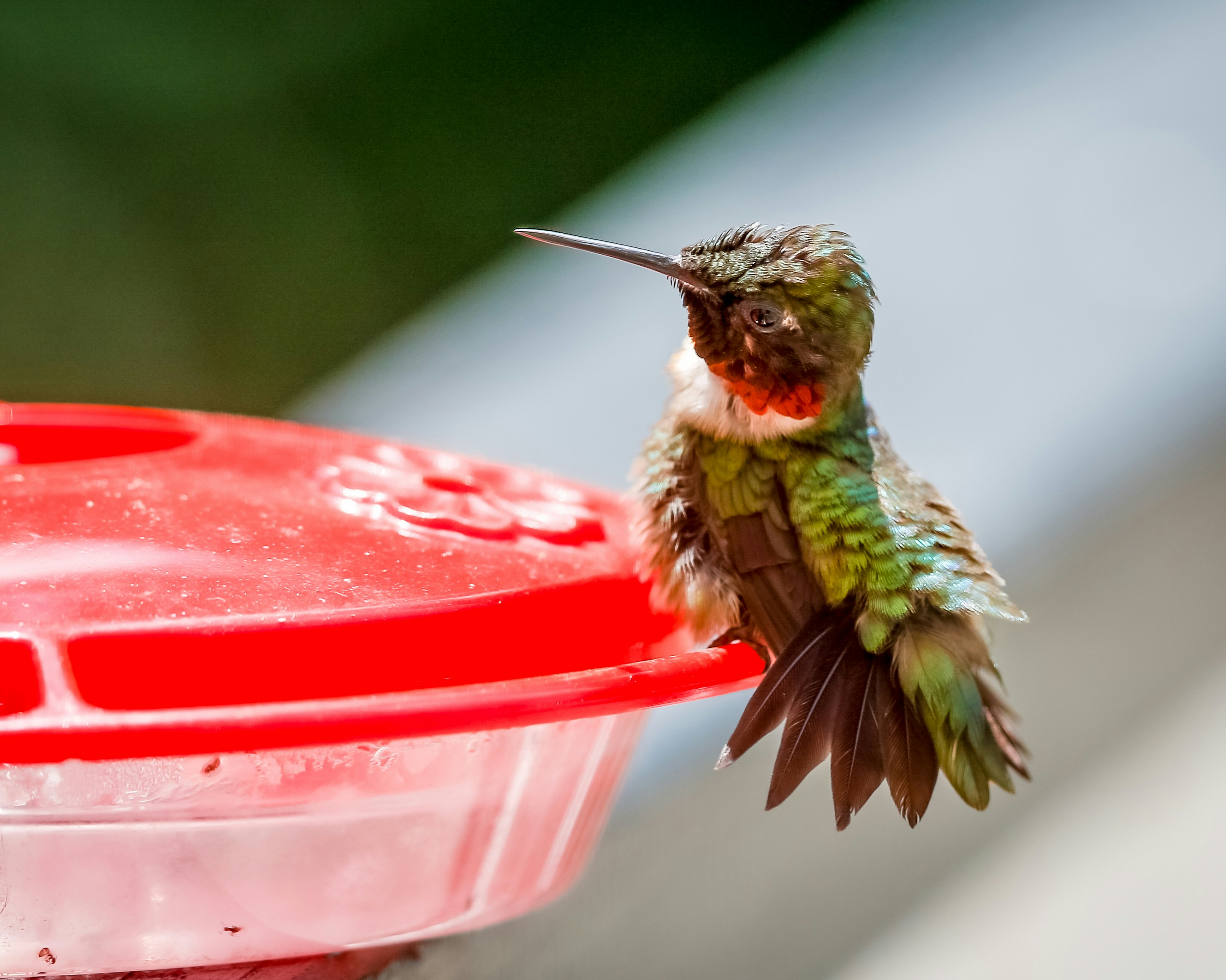 Free Unsplash photo from Cary  McDonald