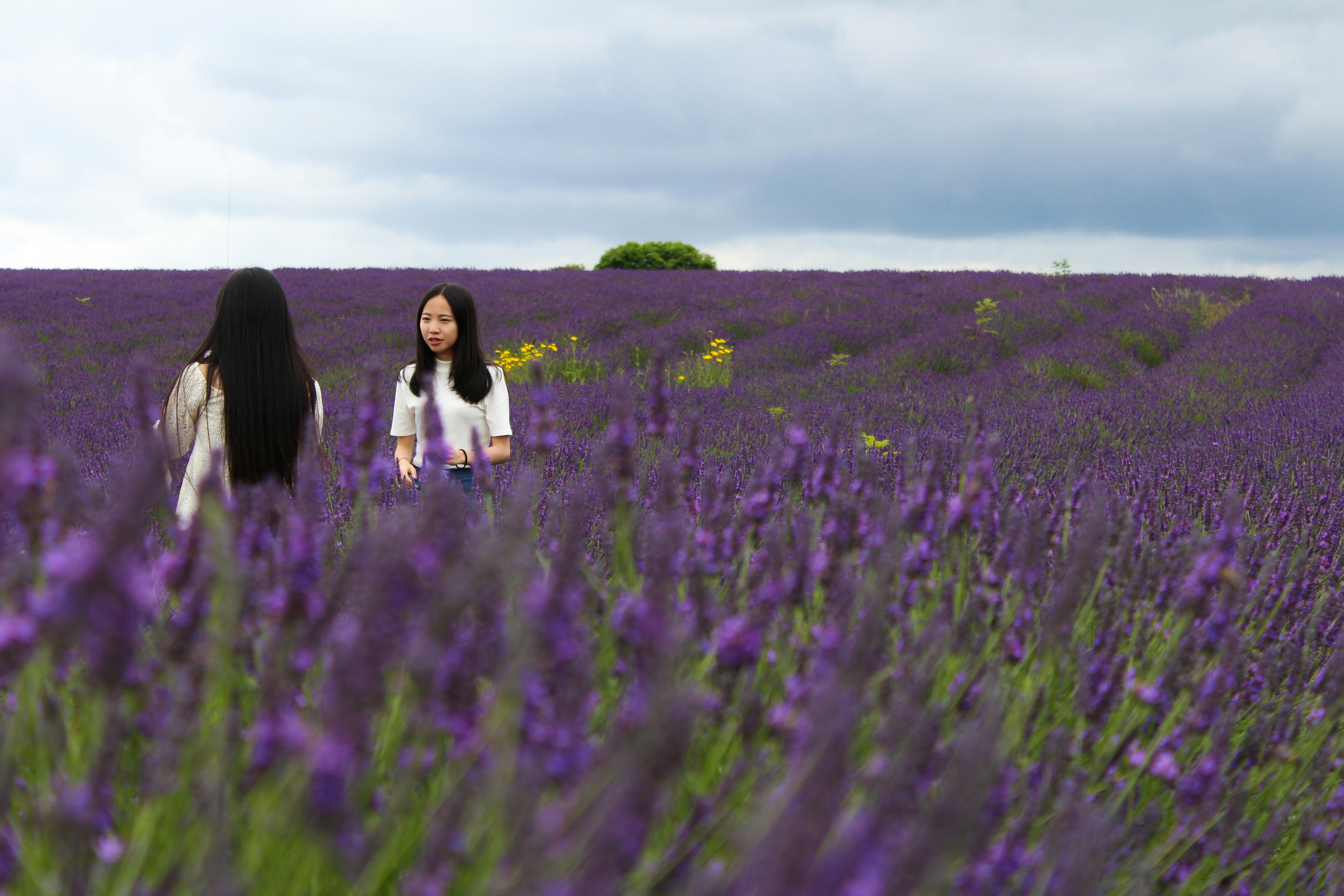 Free Unsplash photo from Roberto Amelio