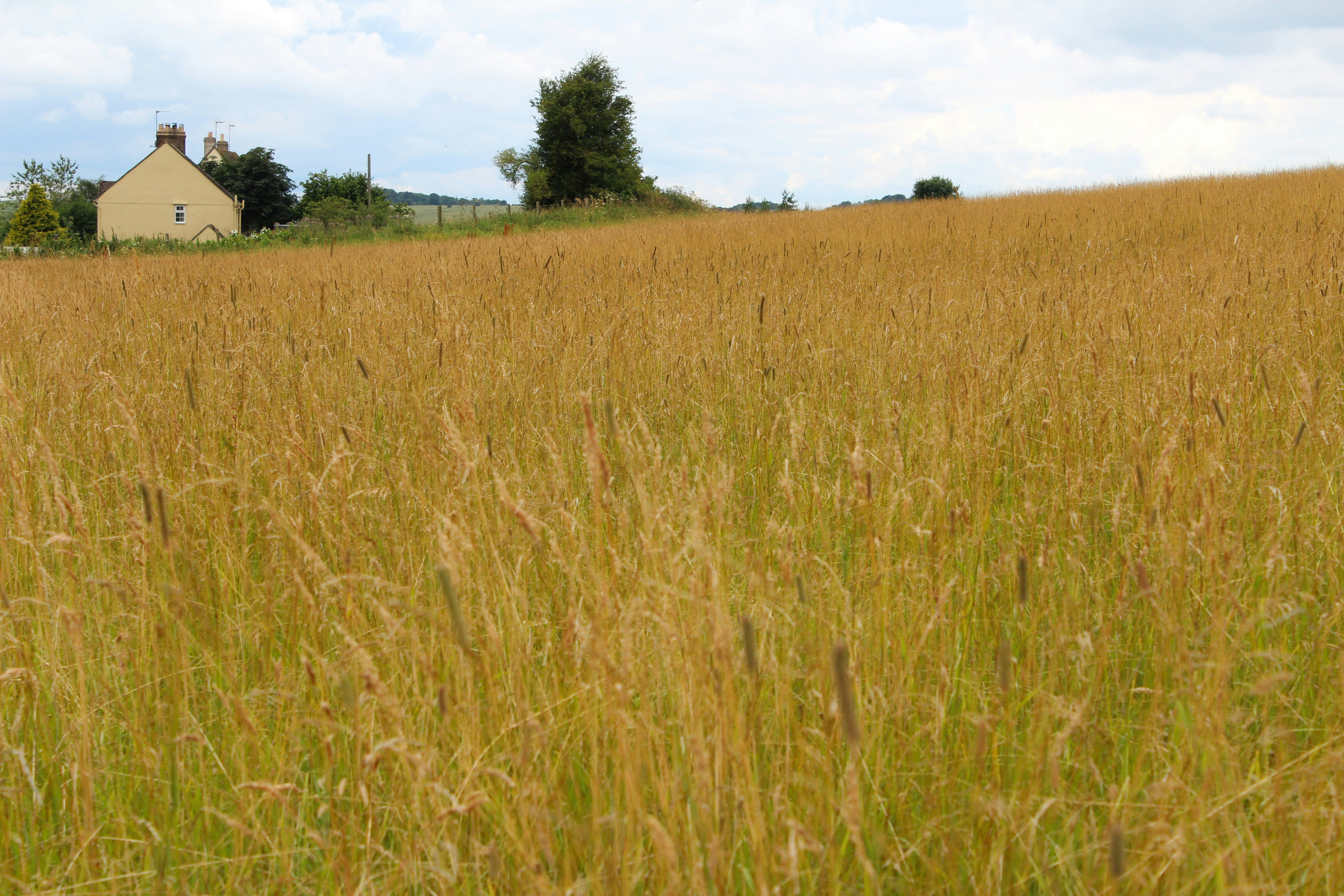 Free Unsplash photo from Roberto Amelio